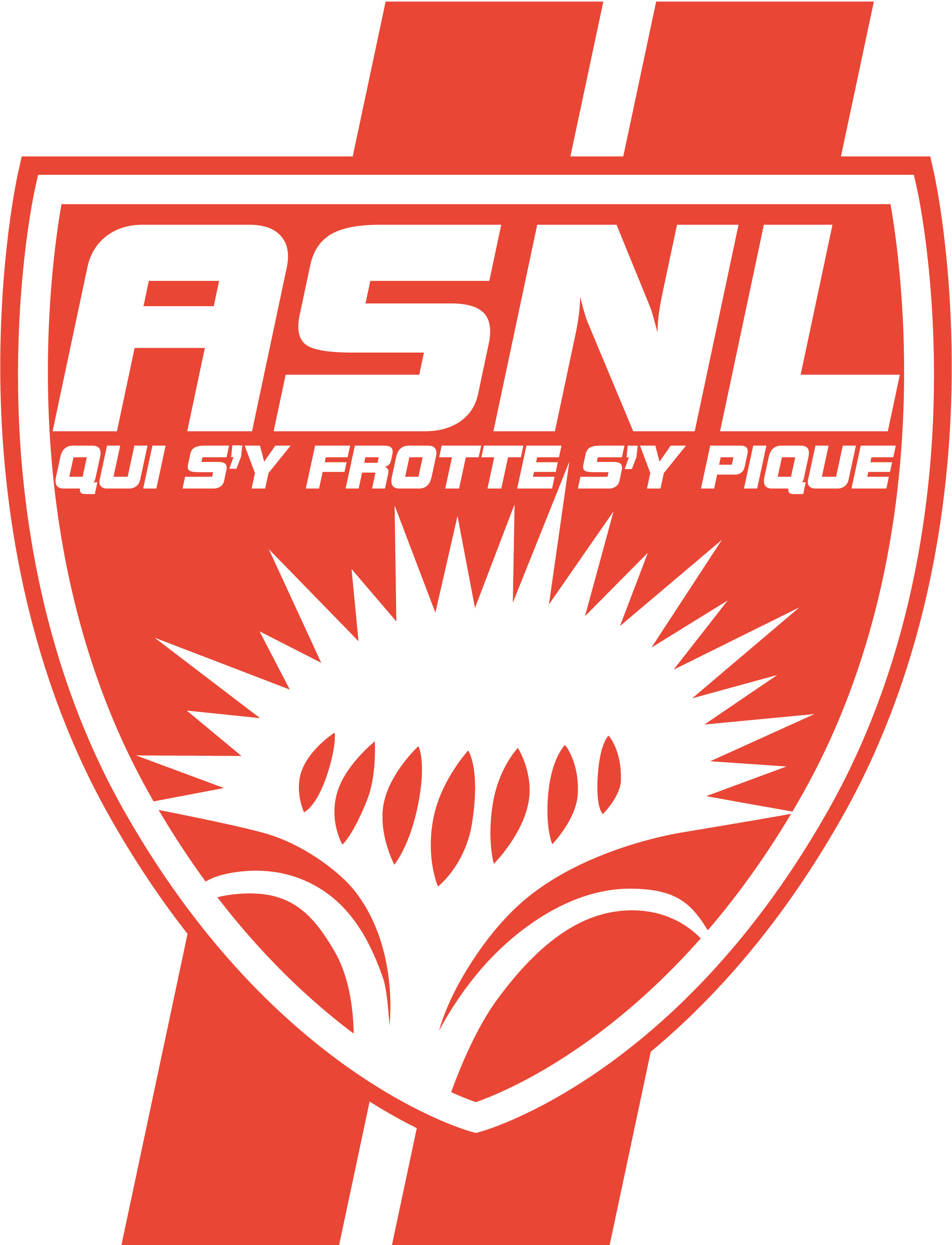 AS-Nancy-Lorraine-new-Logo--Vector