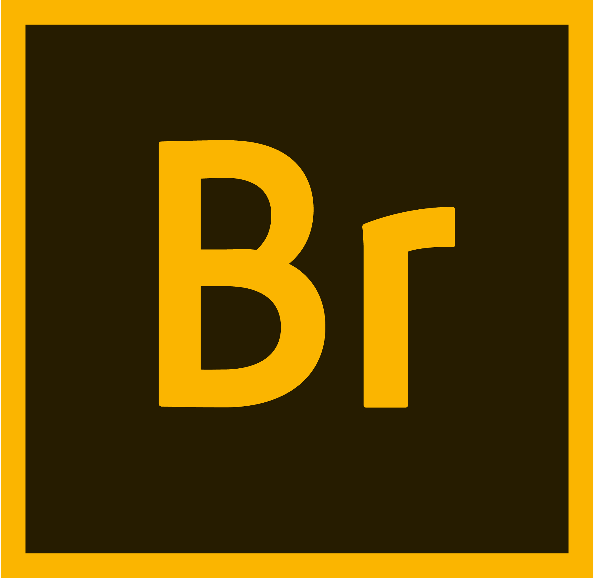Adobe-Bridge-Logo-Vector