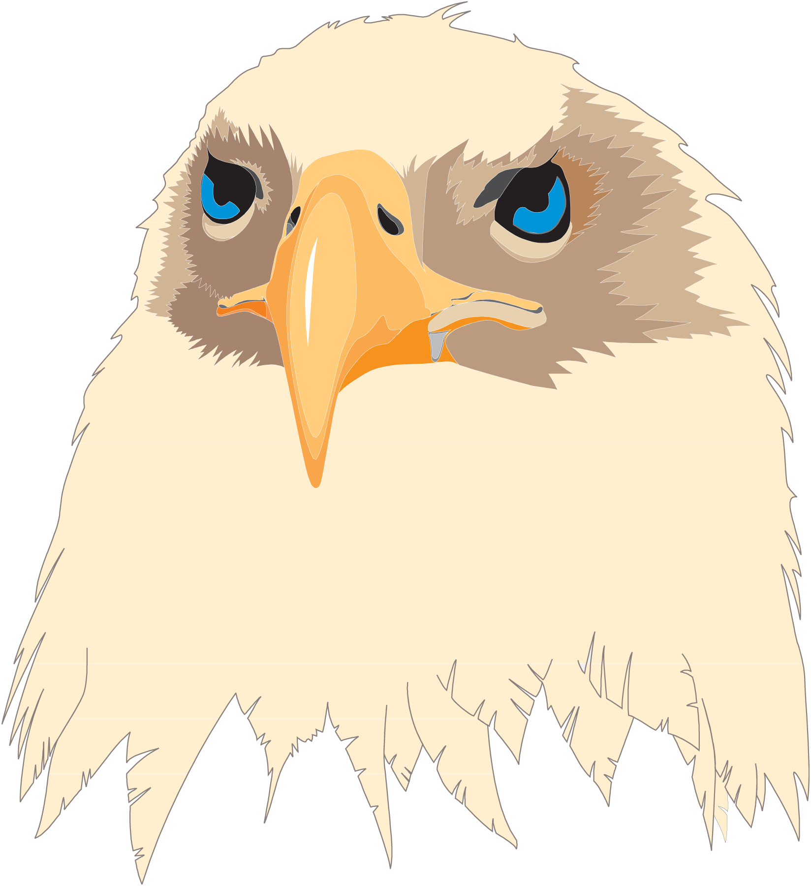 Aguia-Eagle-Logo-Vector