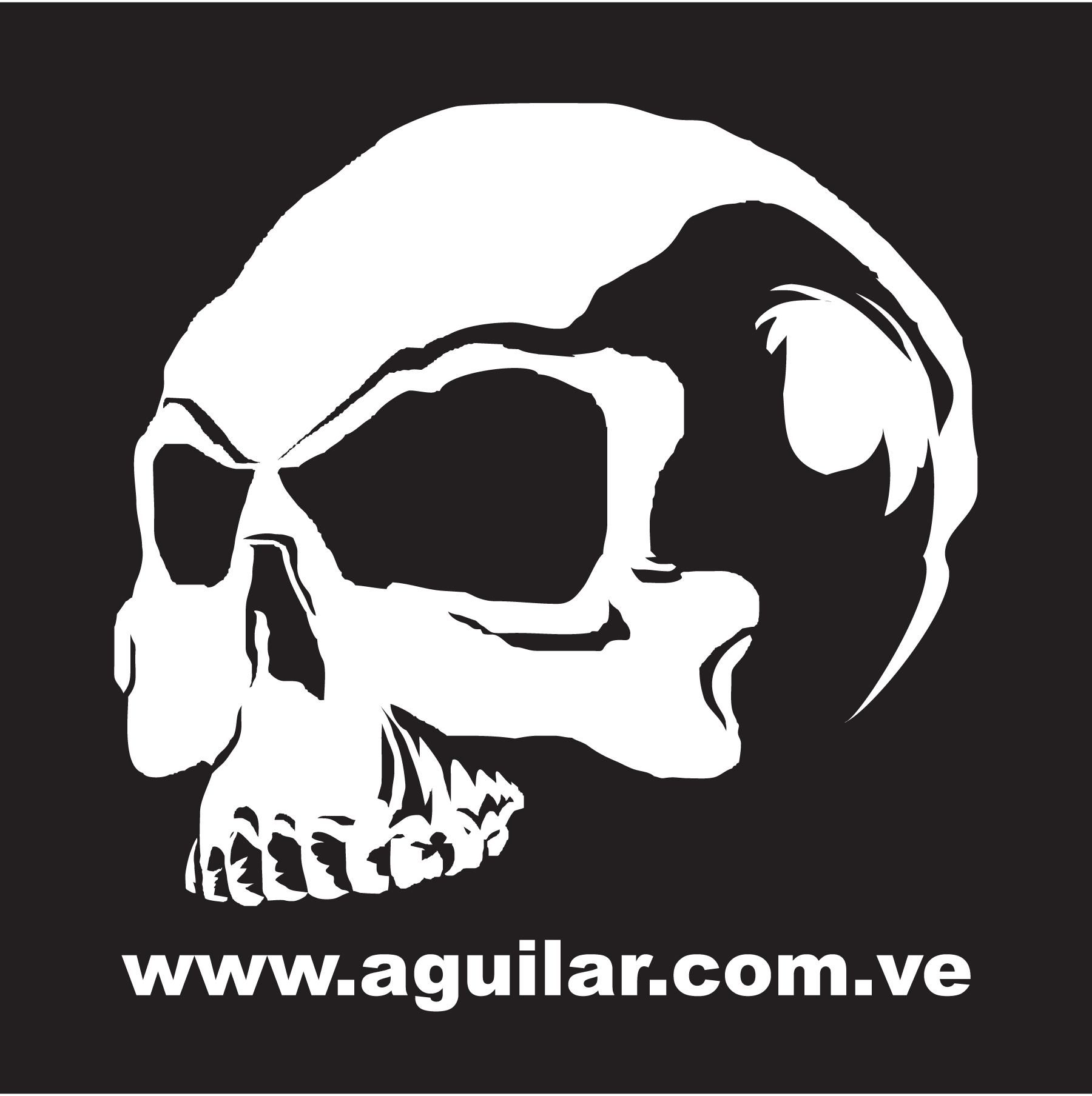 Aguilar-V3-Logo-Vector