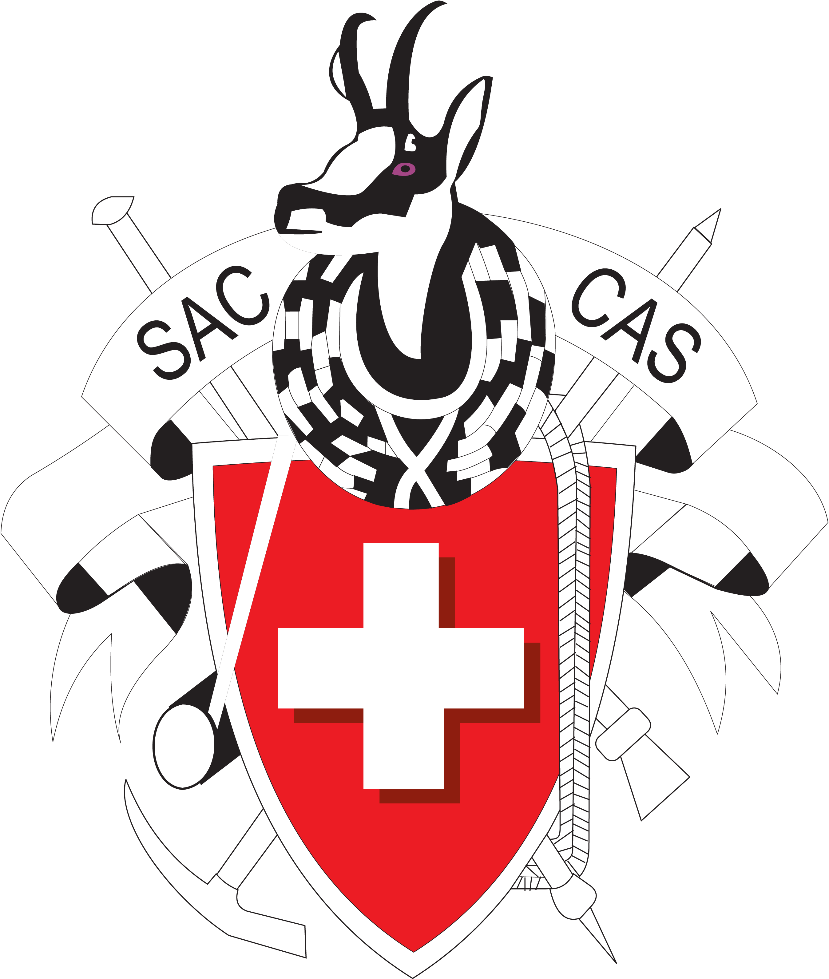 Alpin-Suisse-Logo-Vector
