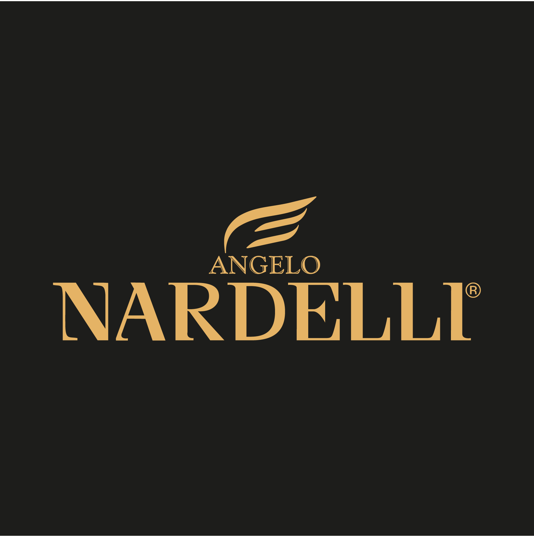 Angelo-Nardelli-Logo-Vector