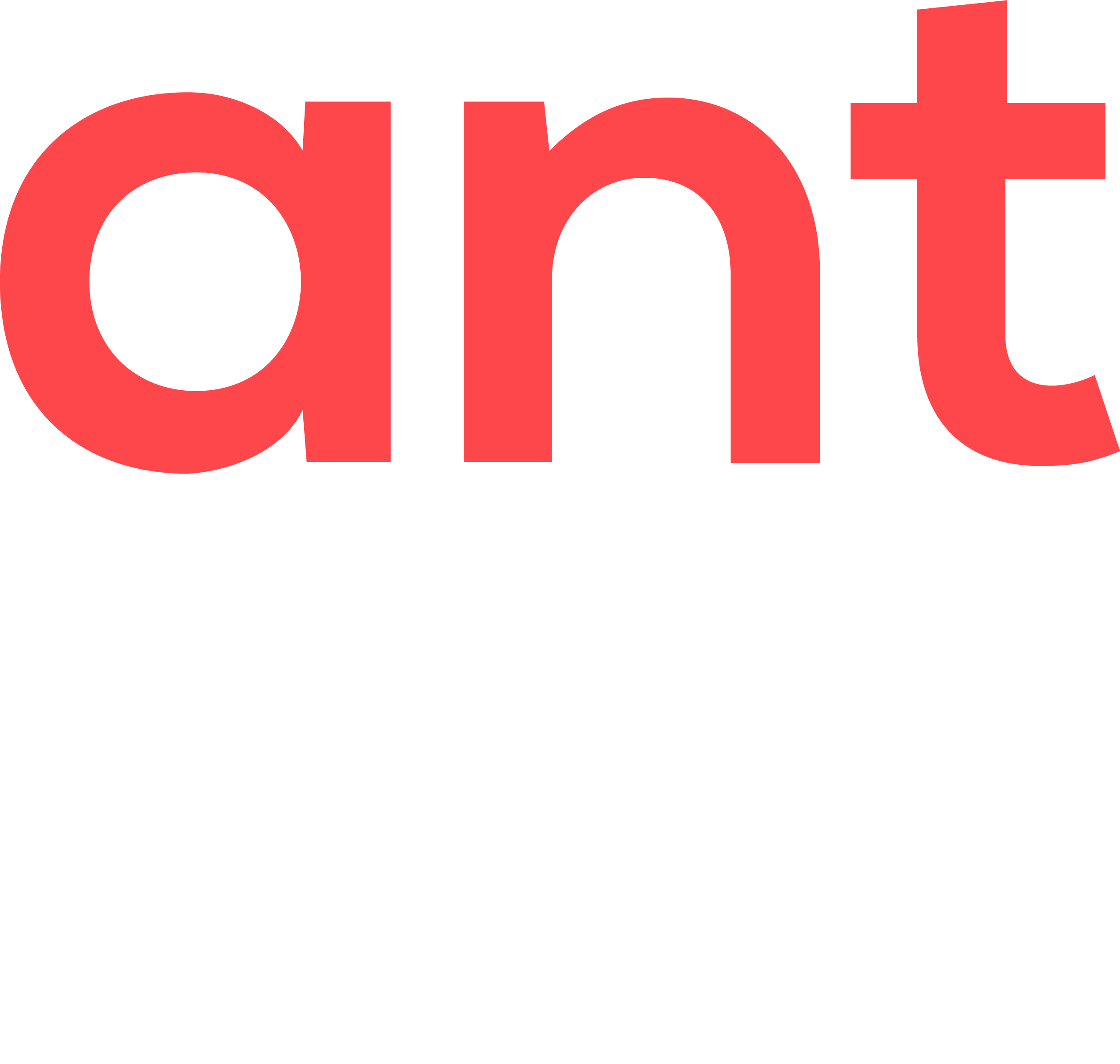 Ant
