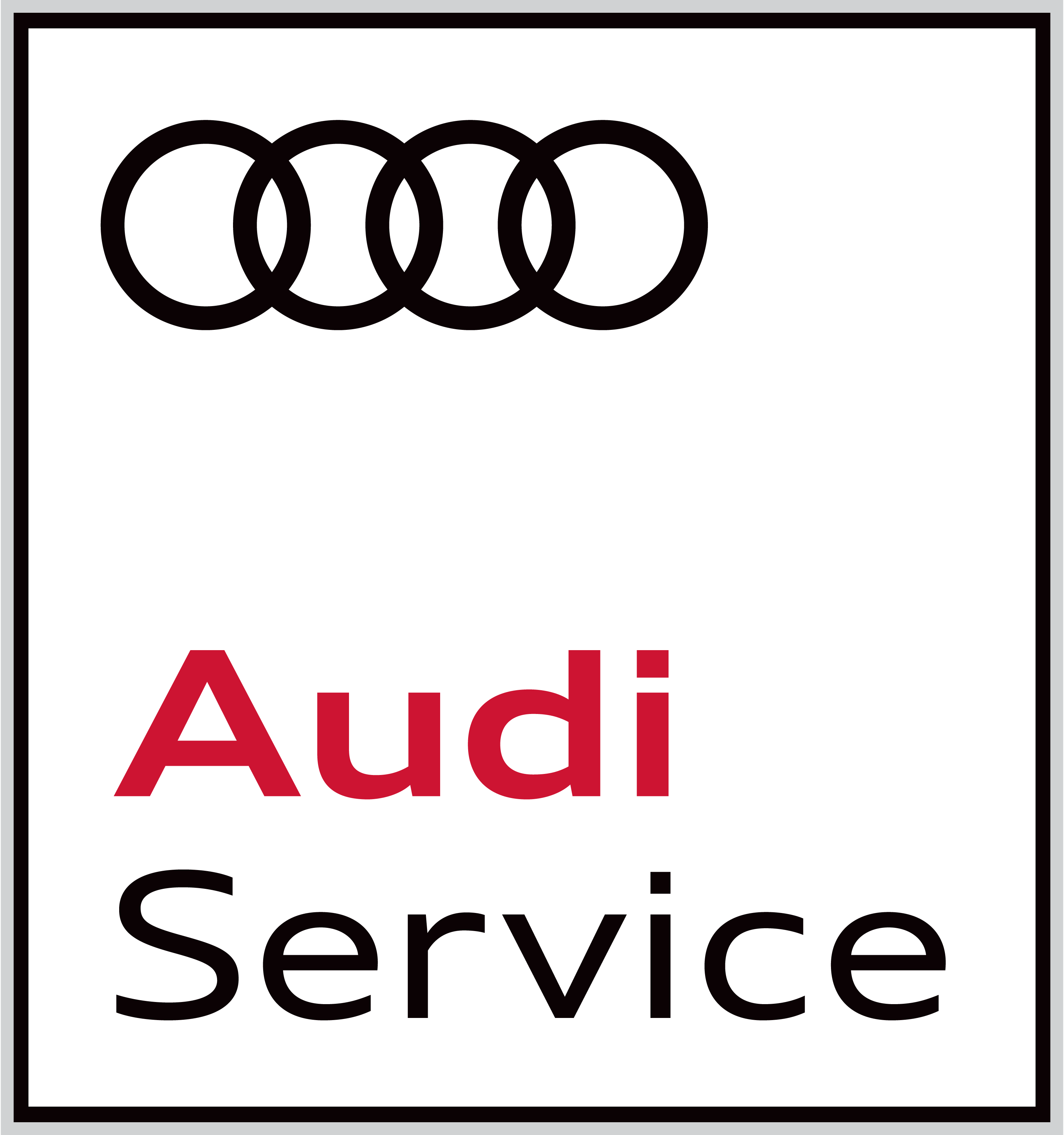 Audi-Service-Logo-Vector