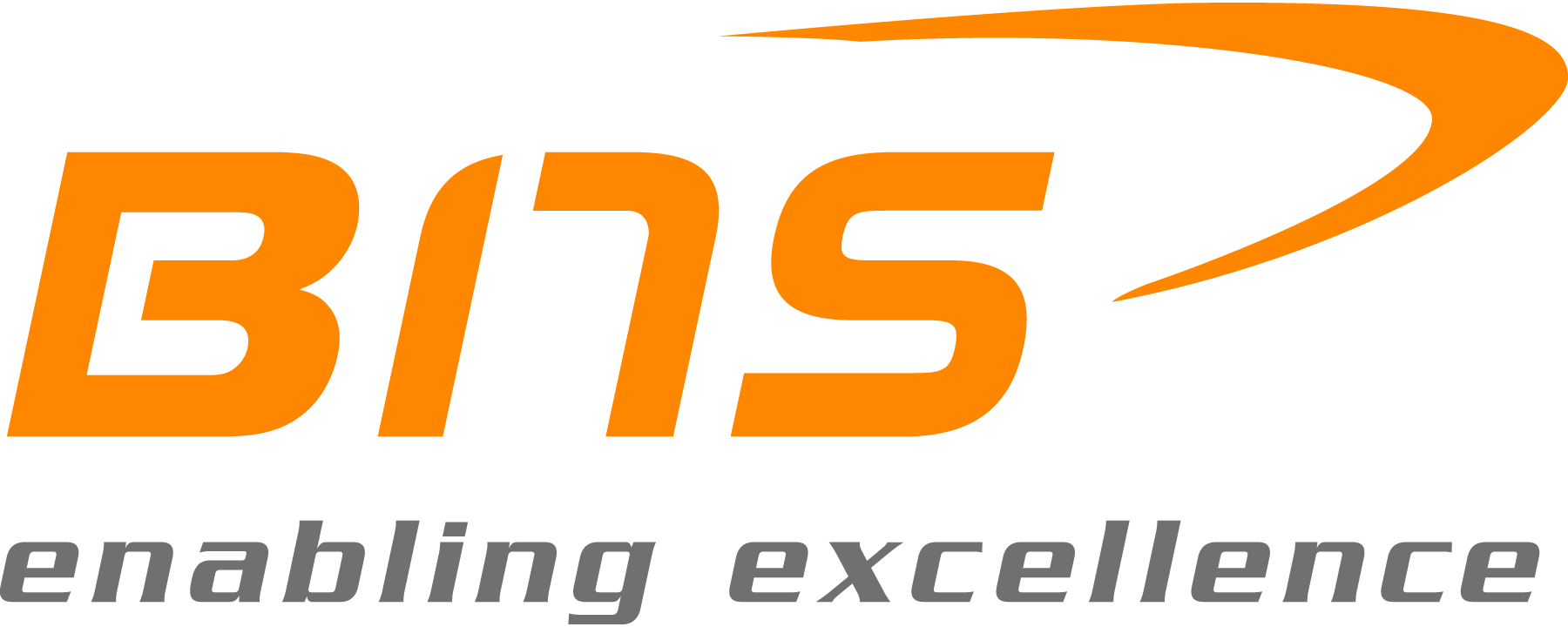 BNS-GmbH-Logo-Vector