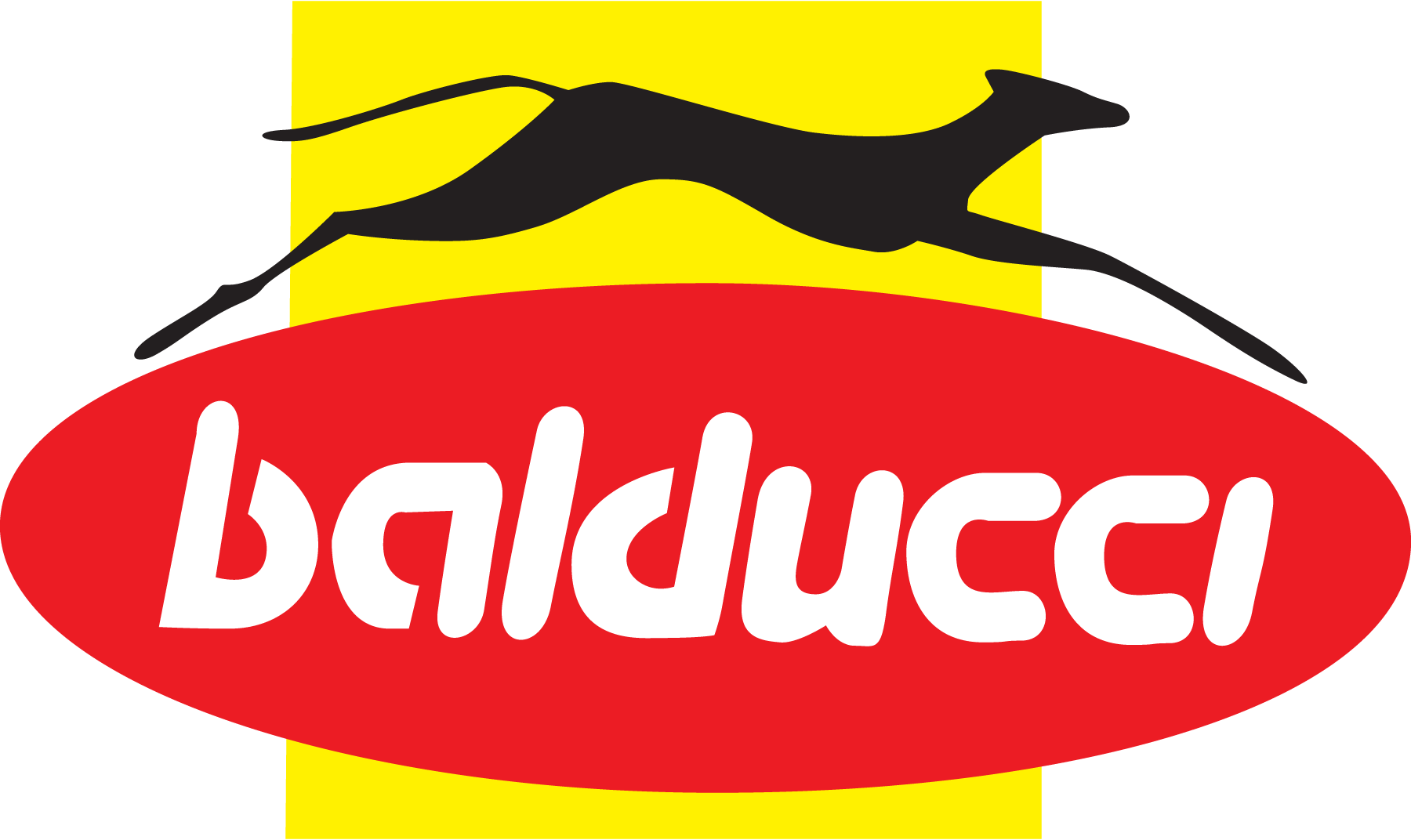 Balducci-Logo-Vector
