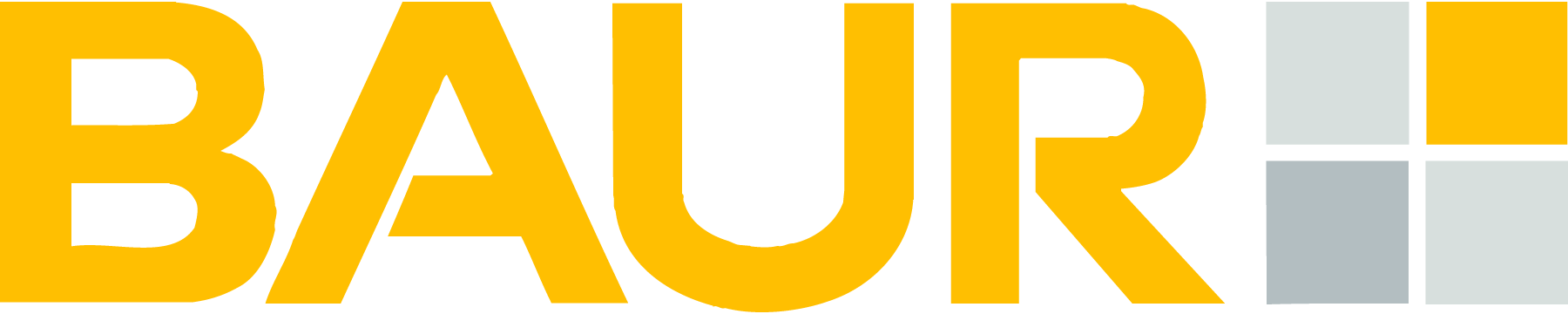 Baur-Logo-Vector