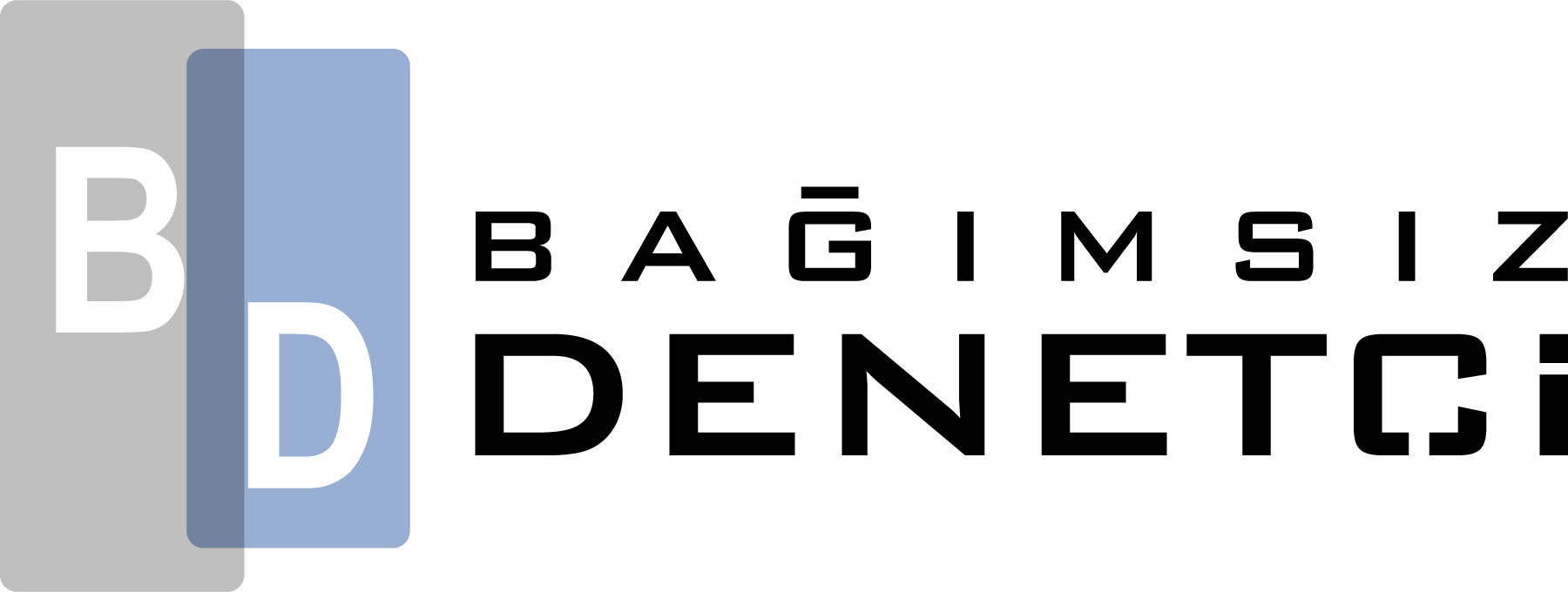 Bağımsız-Denetci