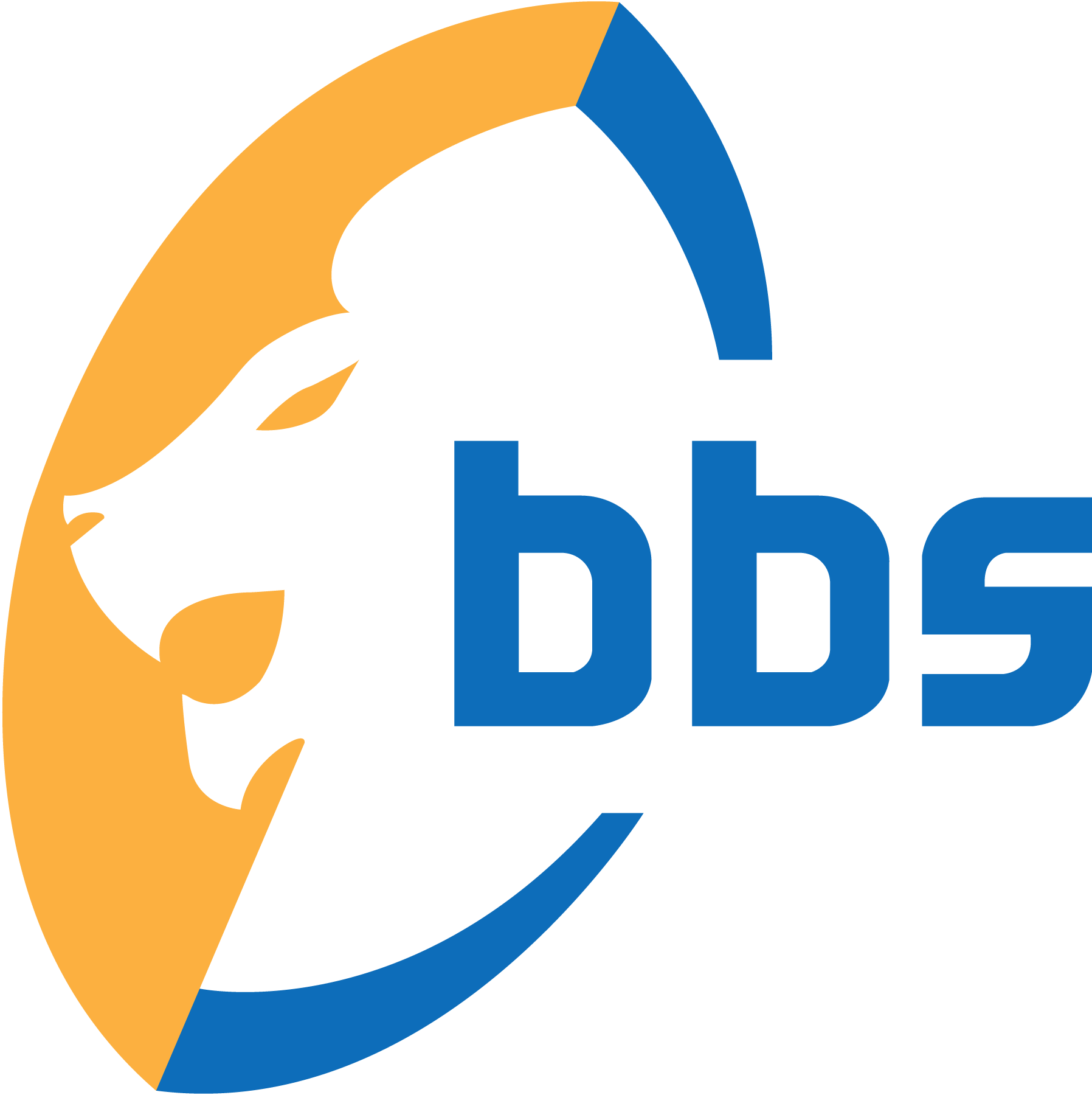Bbs-Terefayina-Logo-Vector
