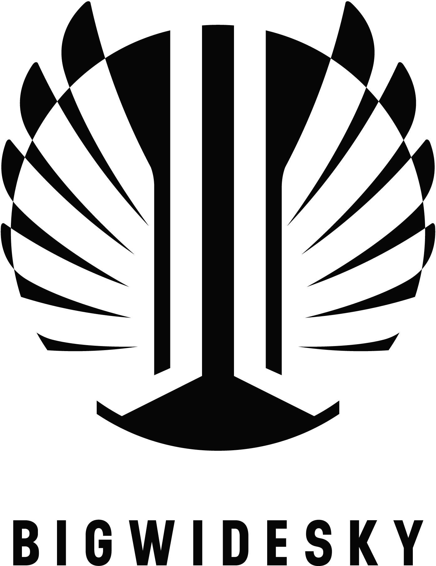 Bigwidesky-Logo-Vector