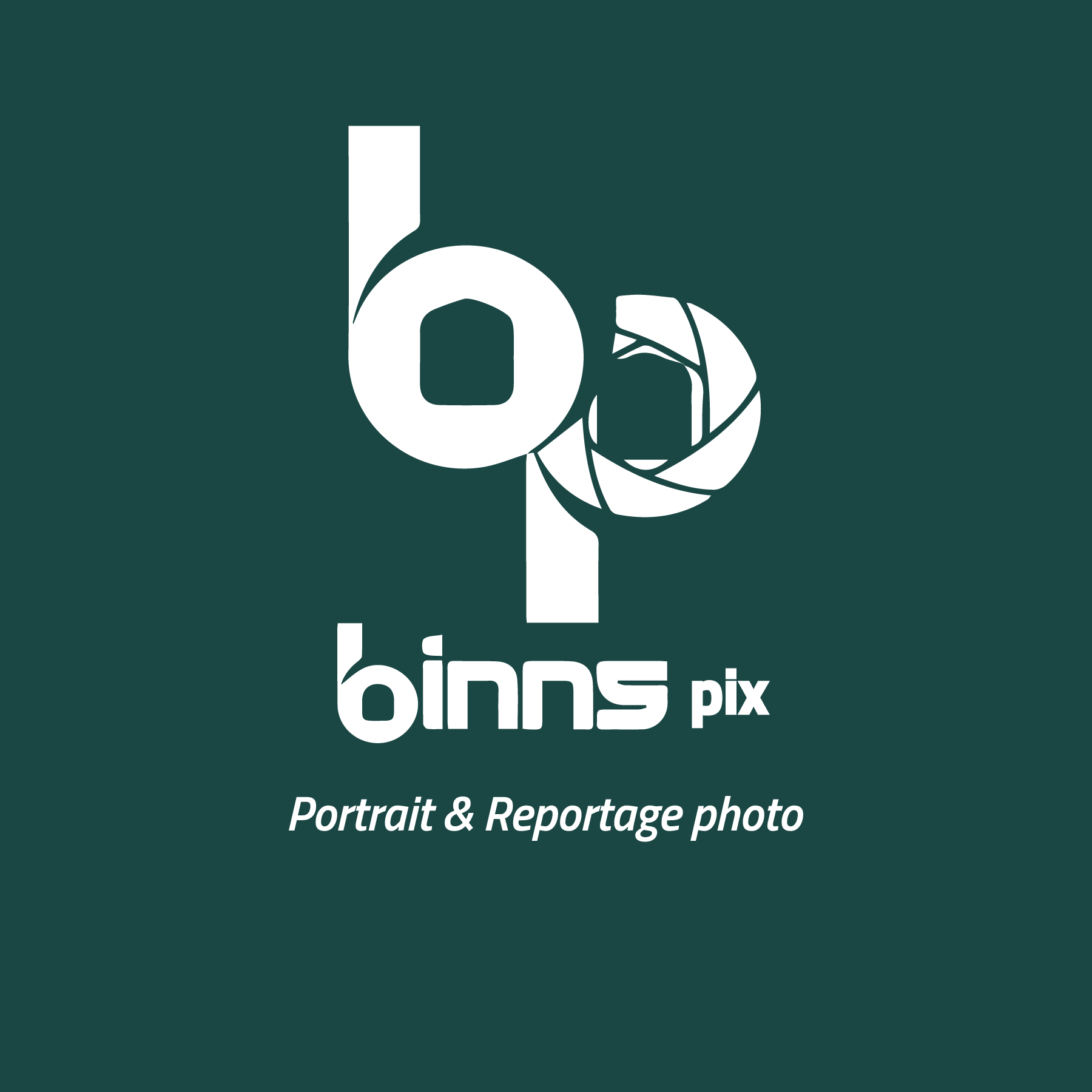 Binns-Pix-new-Logo-Vector
