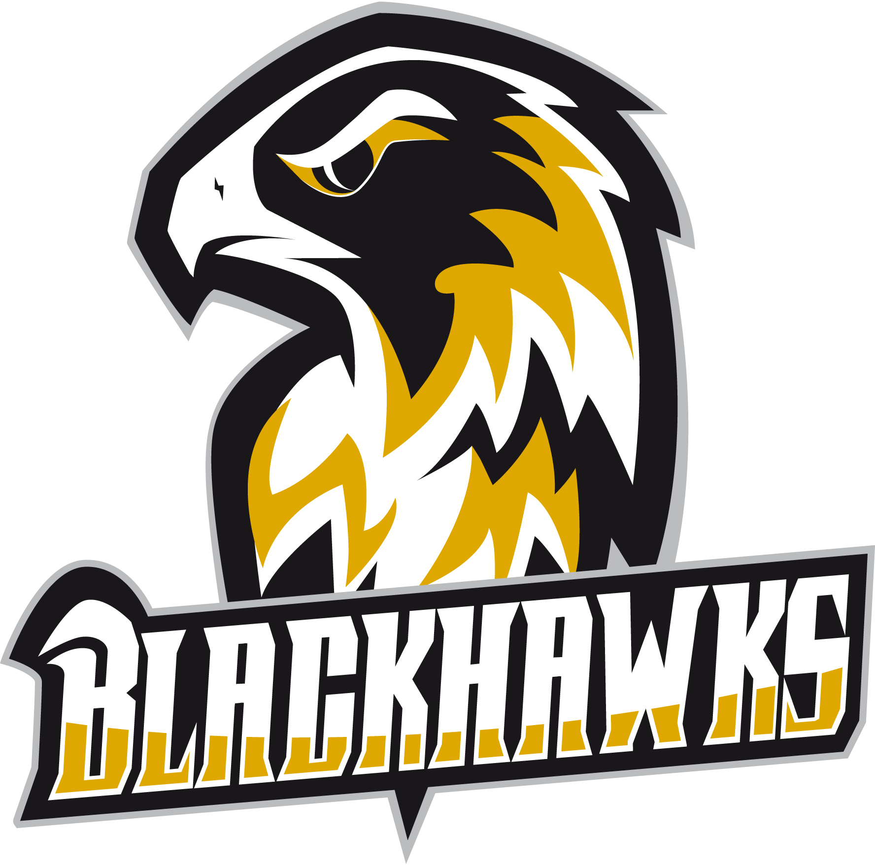 Blackhawks-Logo-Vector