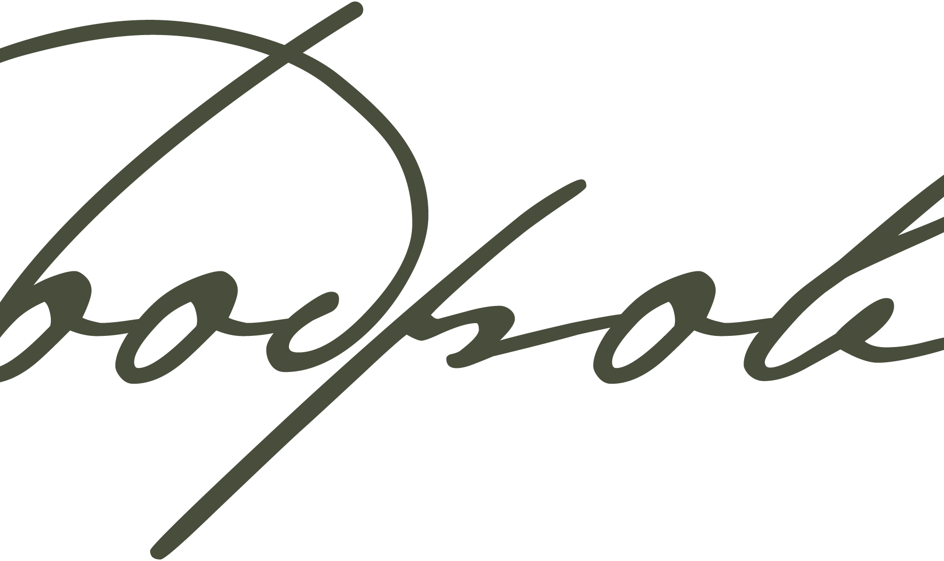Bodrov-Design-Logo-Vector
