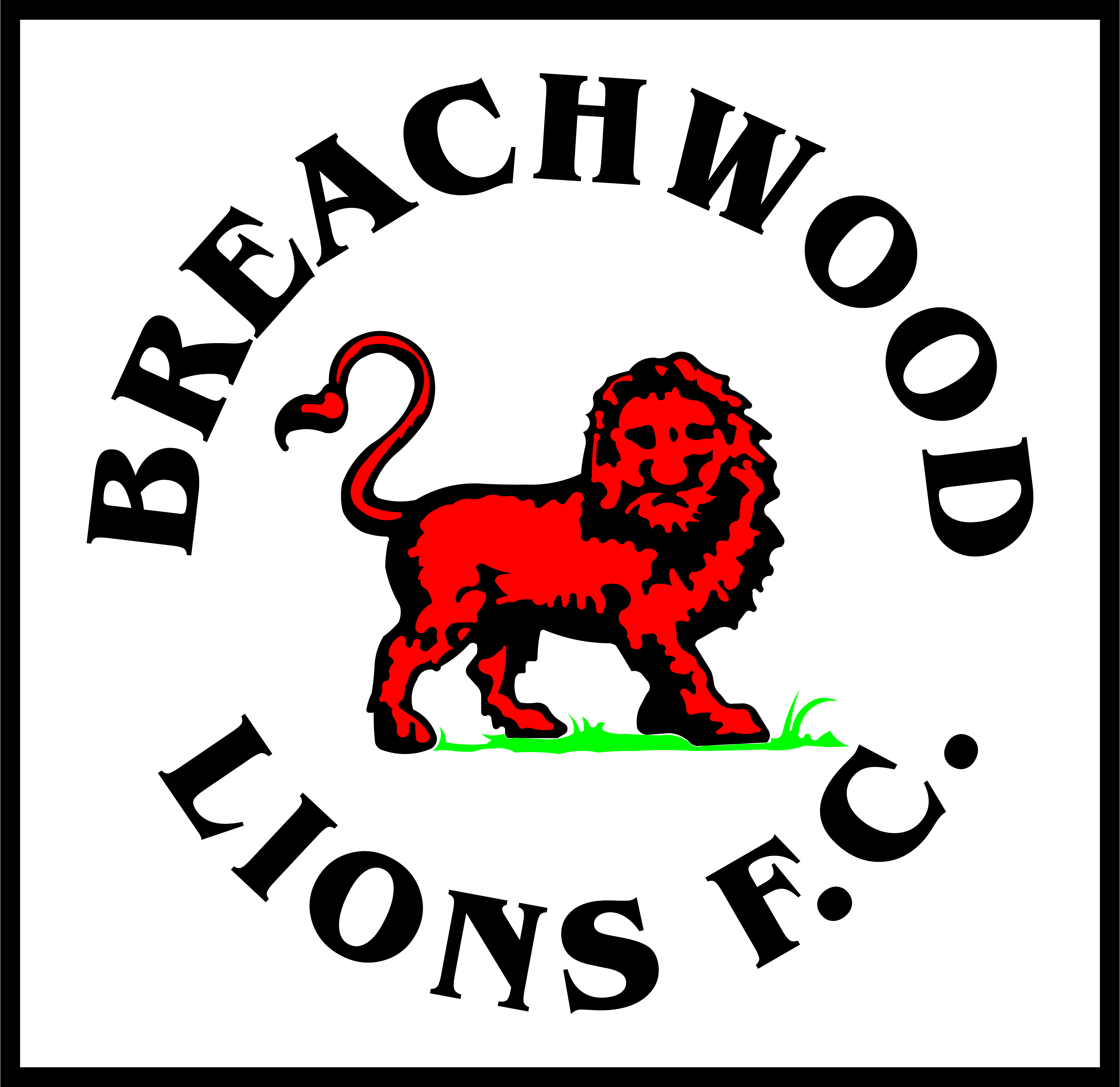 Breach-Wood-Lions-F.C