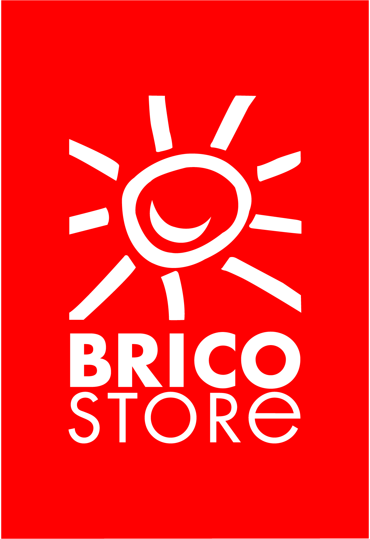 Bricostore-Logo-Vector
