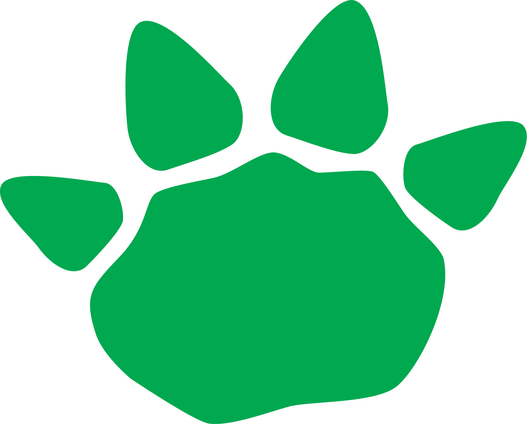 Camaleao-Logo-Vector