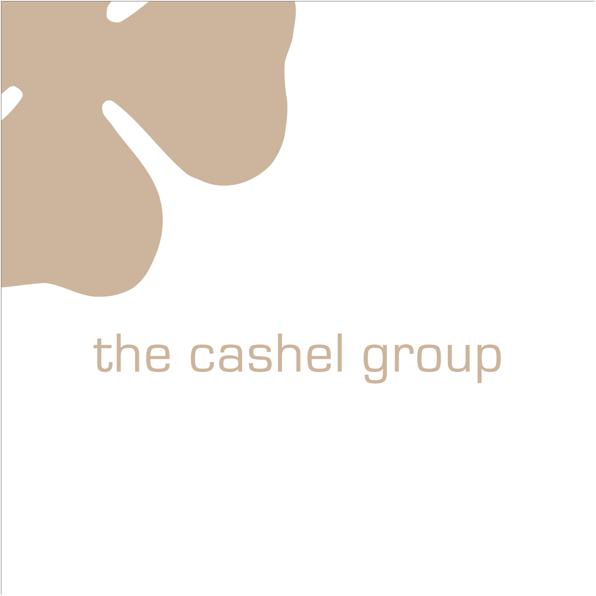 Cashel-Group-Logo-Vector