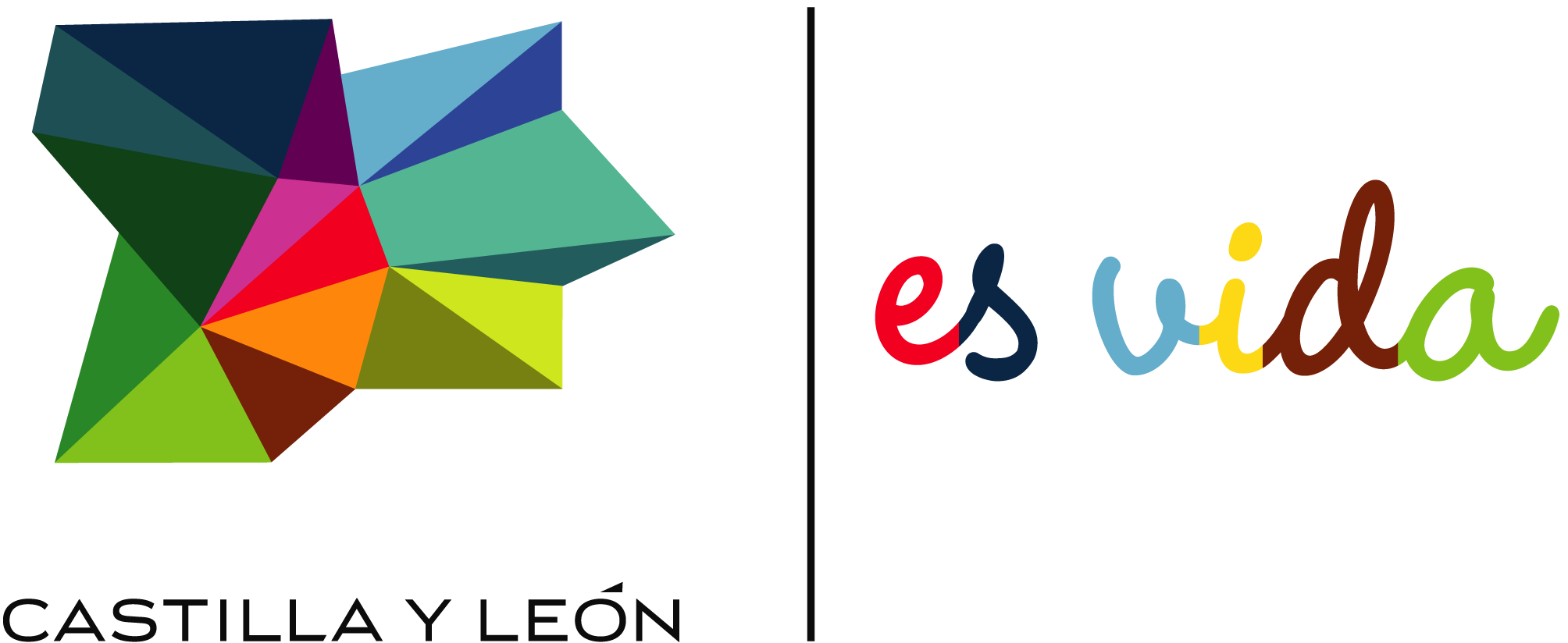 Castilla-y-Leon-ES-Vida-Logo-Vector