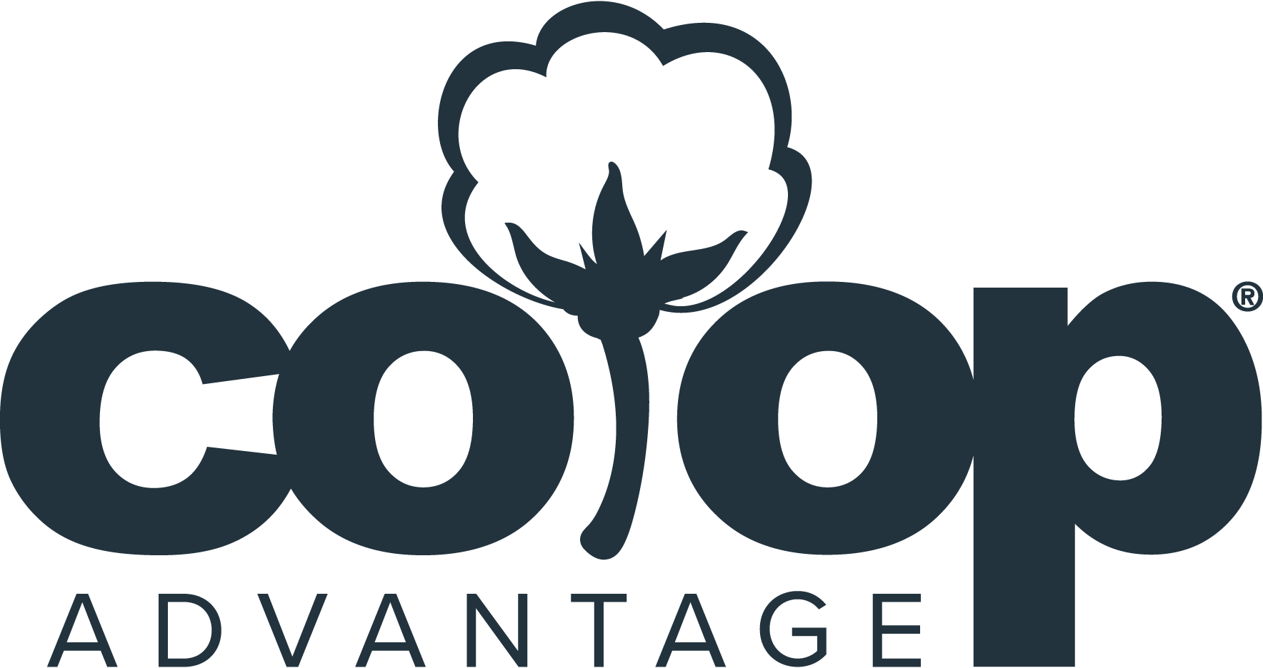 Co-op-Advantage-Logo-Vector