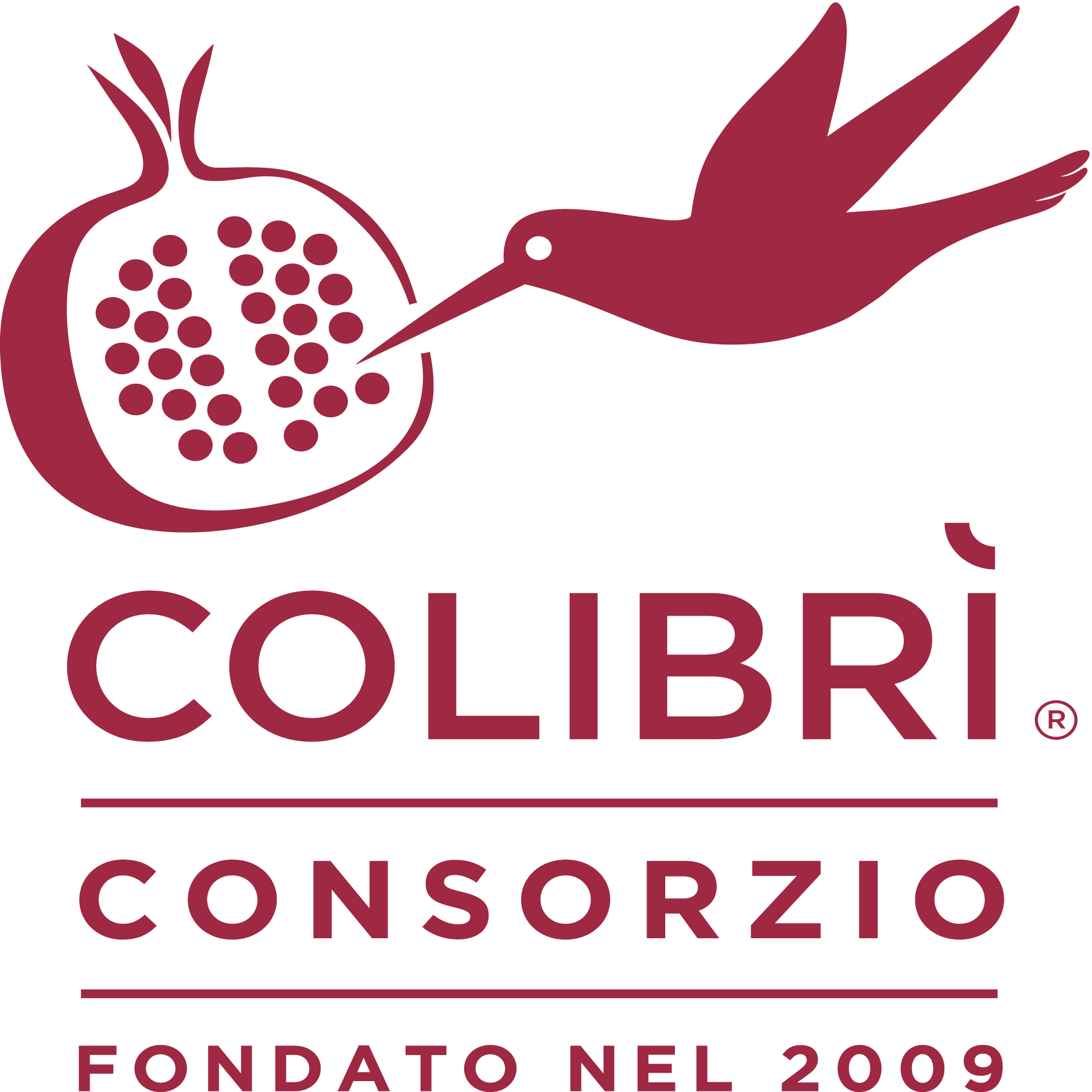 Consorzio-Colibrì-Logo-Vector