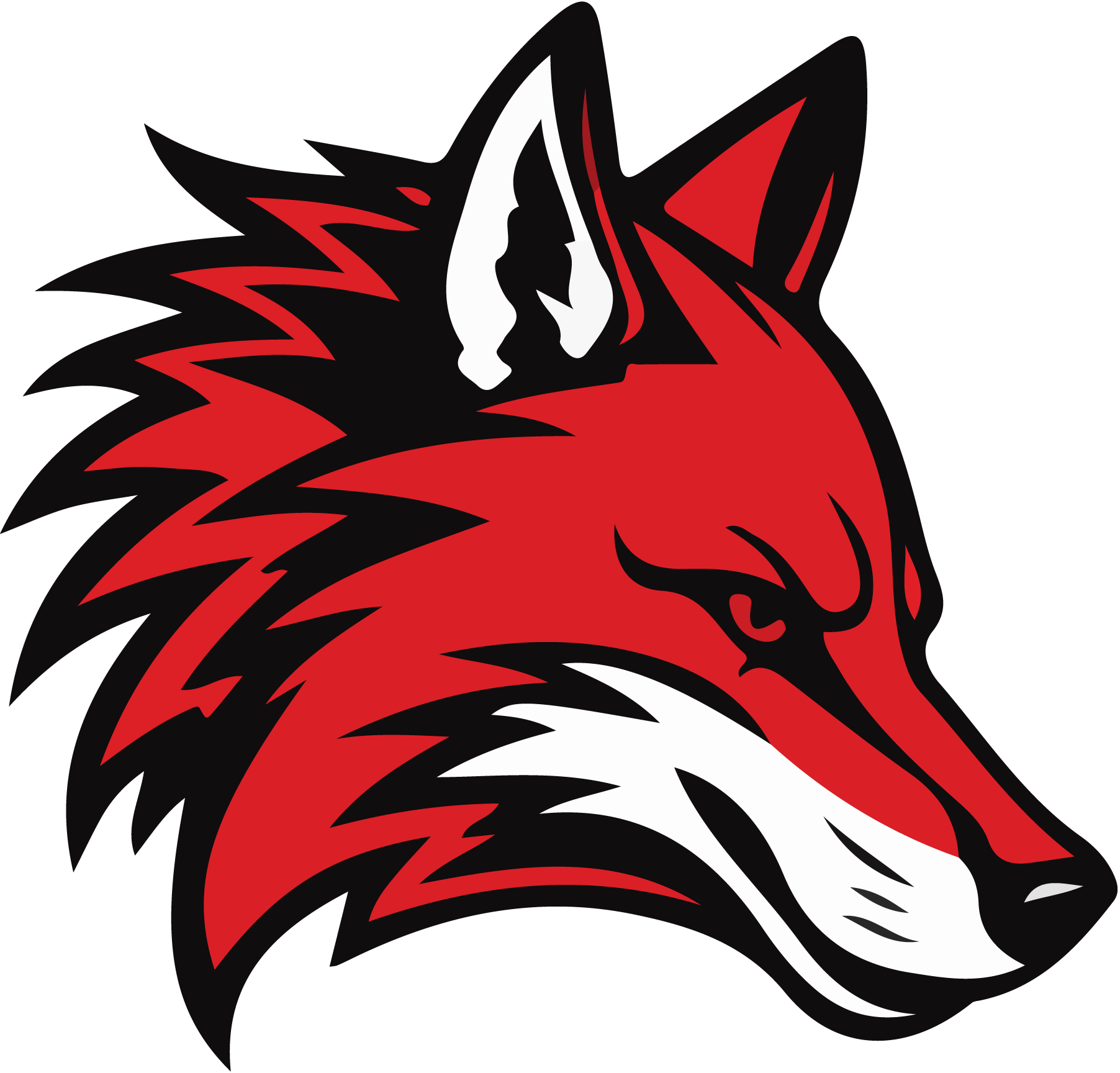 Coyote-Logo-Vector