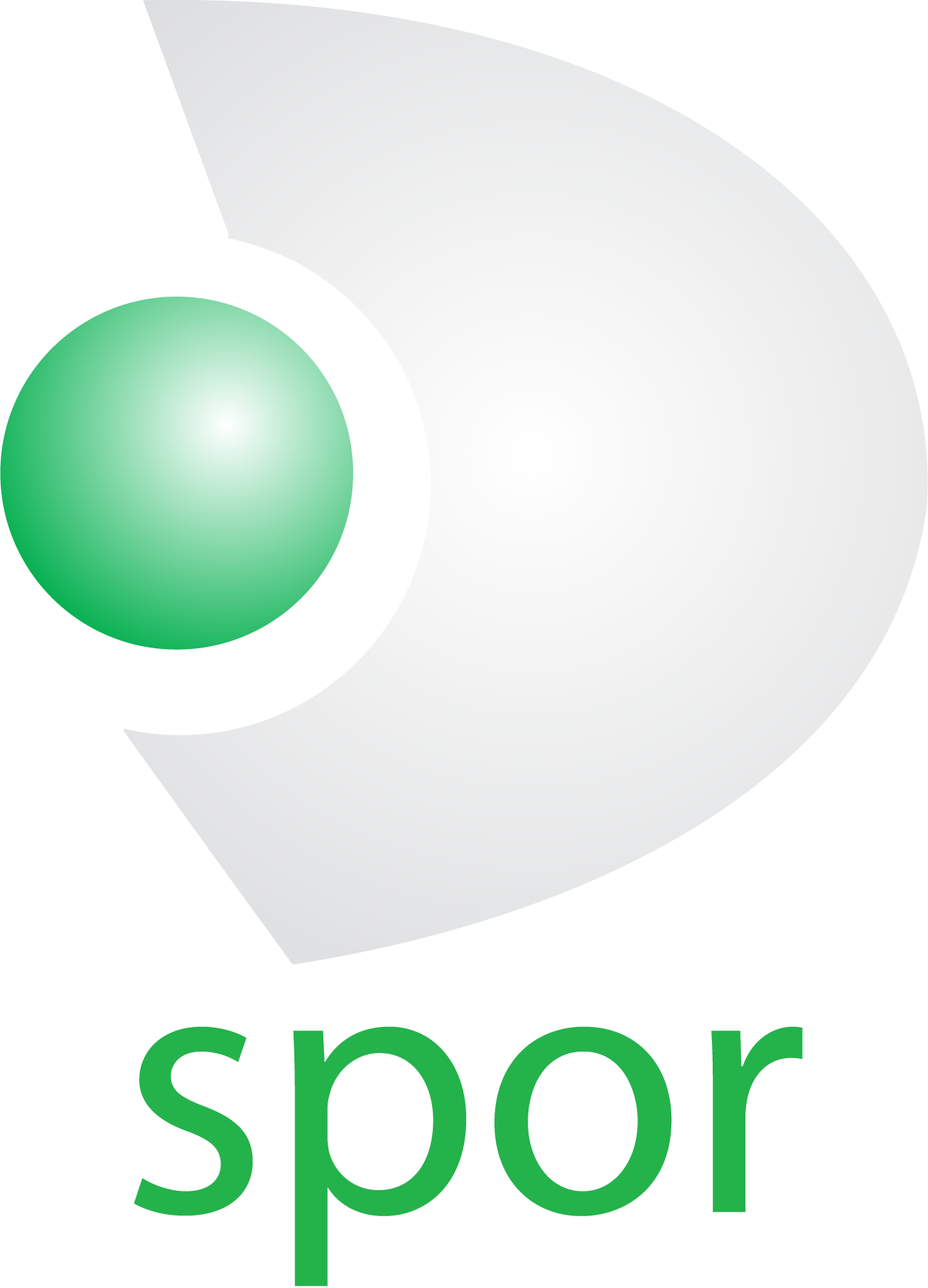 D-Spor-Logo-Vector