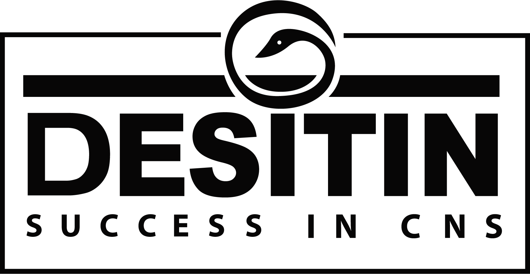 DESITIN-SUCCESS-IN-CNS-Logo-Vector