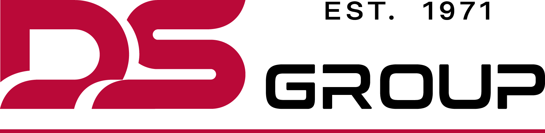 DS-Group-Logo-Vector