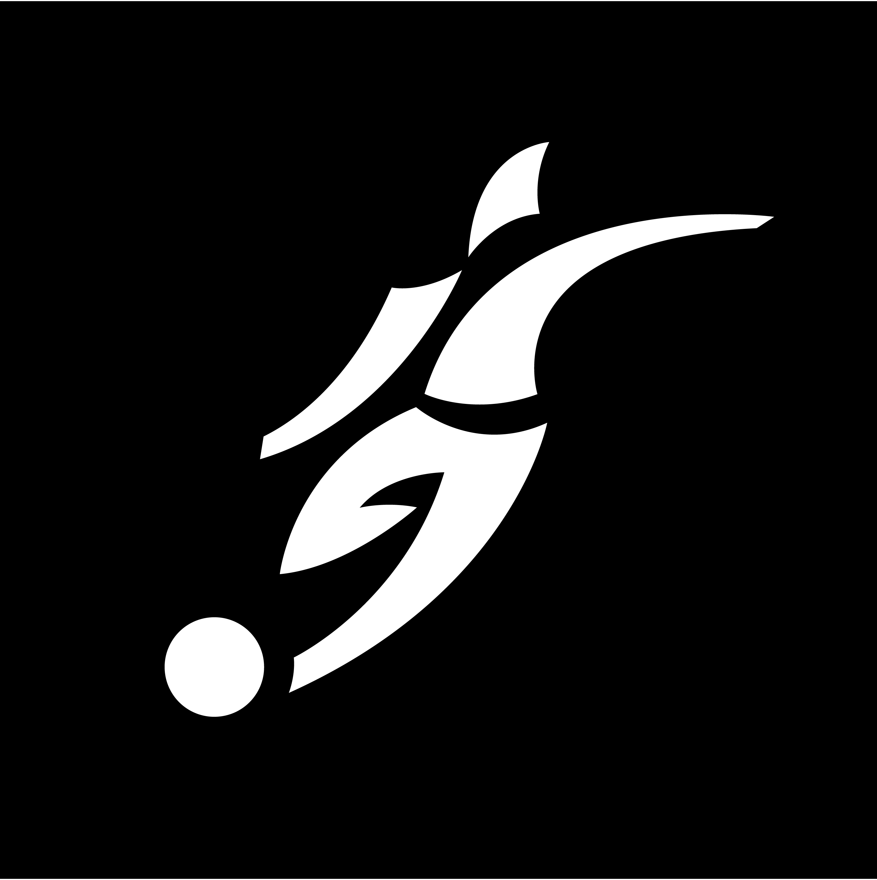 David-Beckham-Logo-Vector
