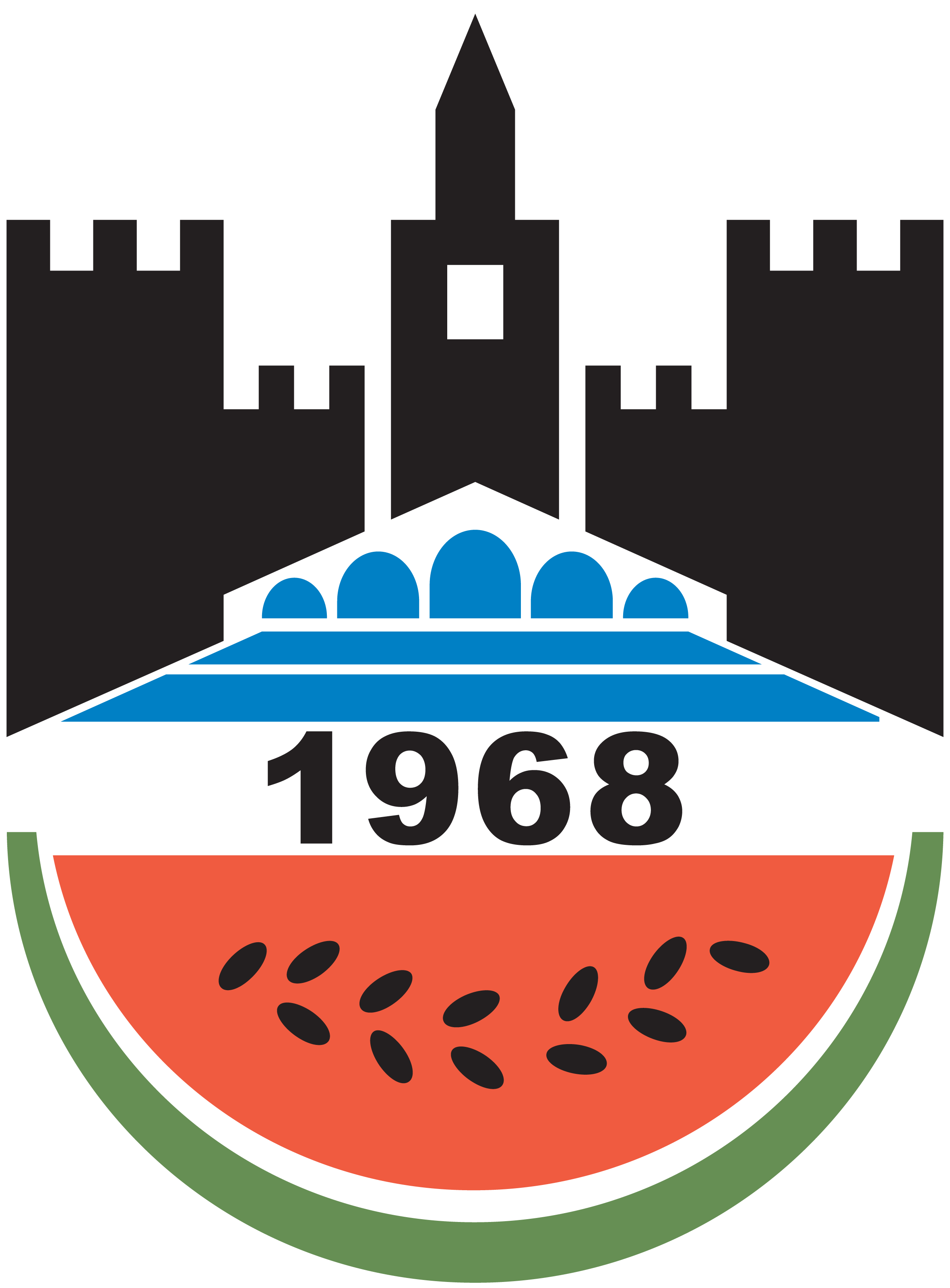 Diyarbakirspor-Logo-Vector