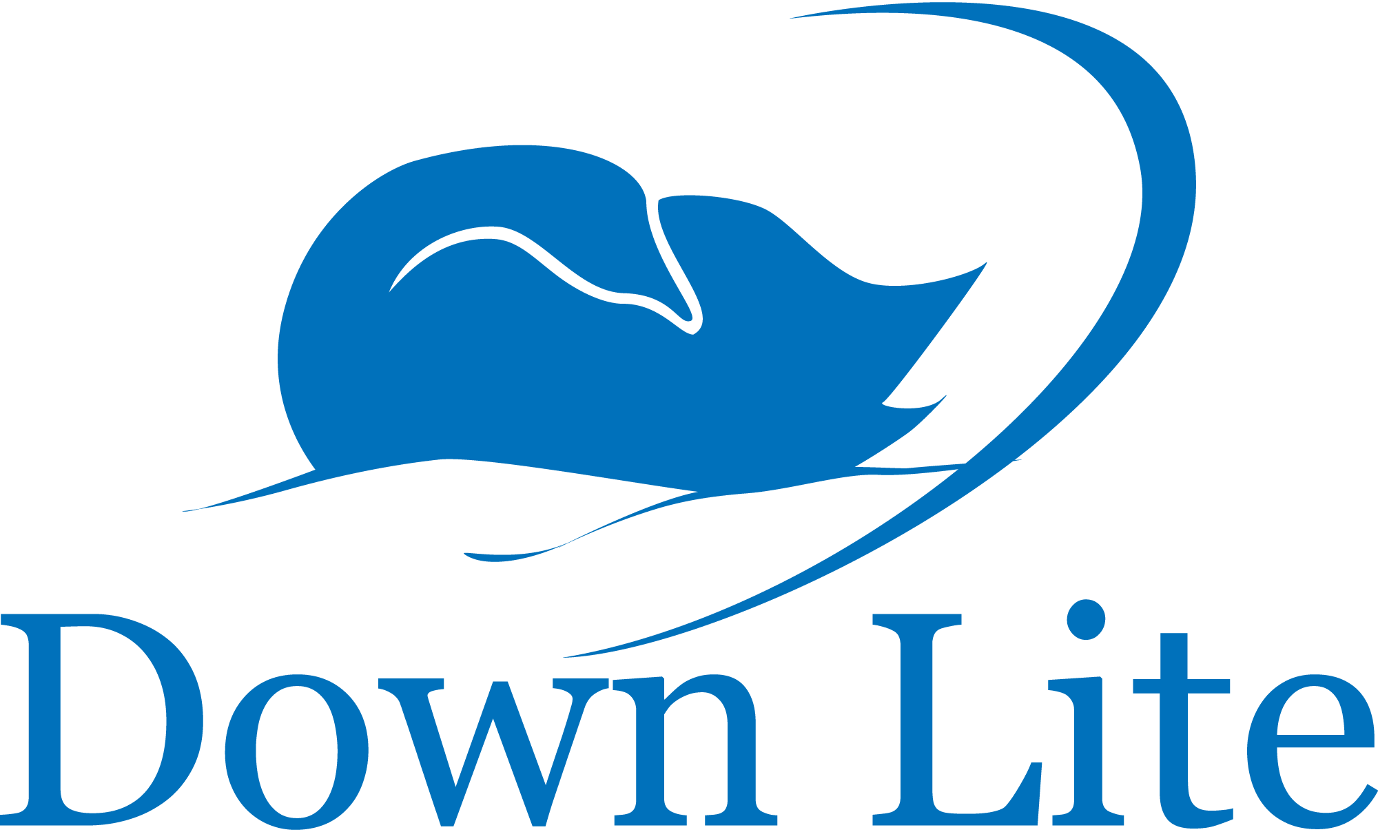 Down-Lite-Logo-Vector