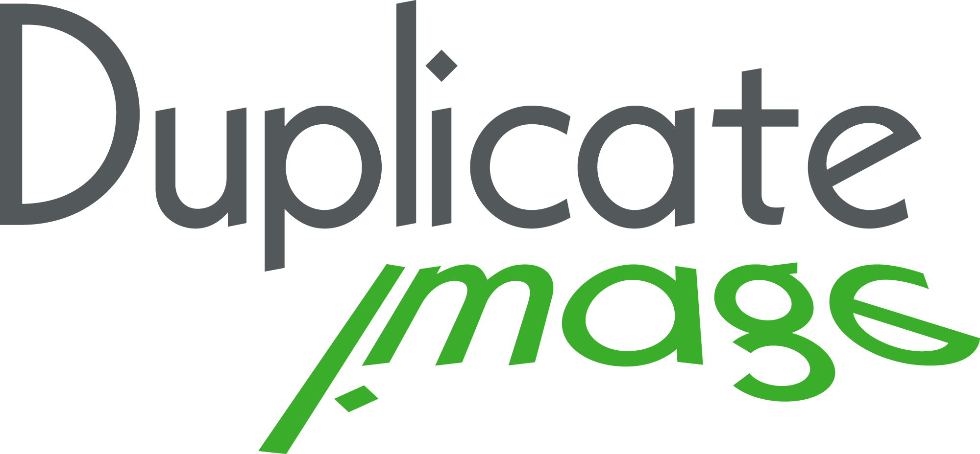 Duplicate-Image-Logo-Vector
