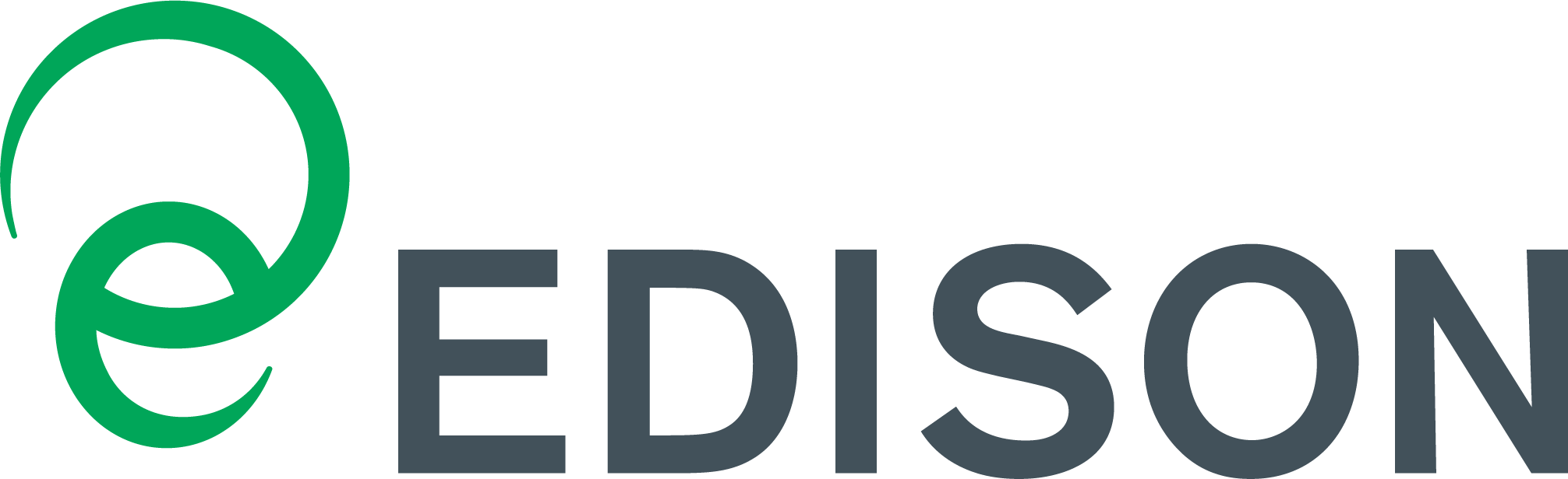 Edison-logo-Vector