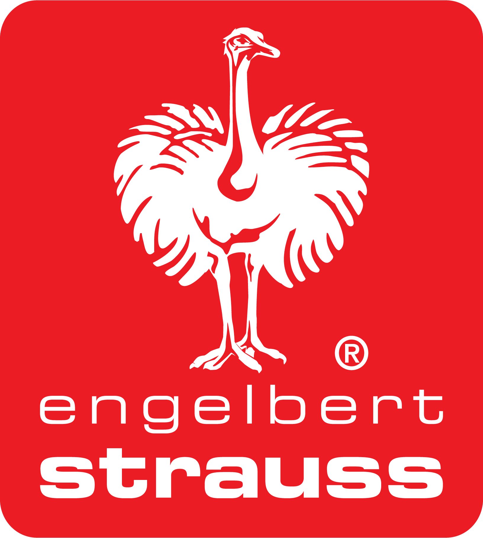 Engelbert-Strauss-Logo-Vector