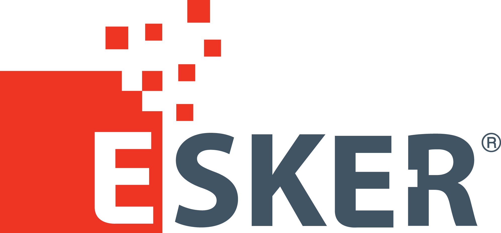 Esker-Logo-Vector