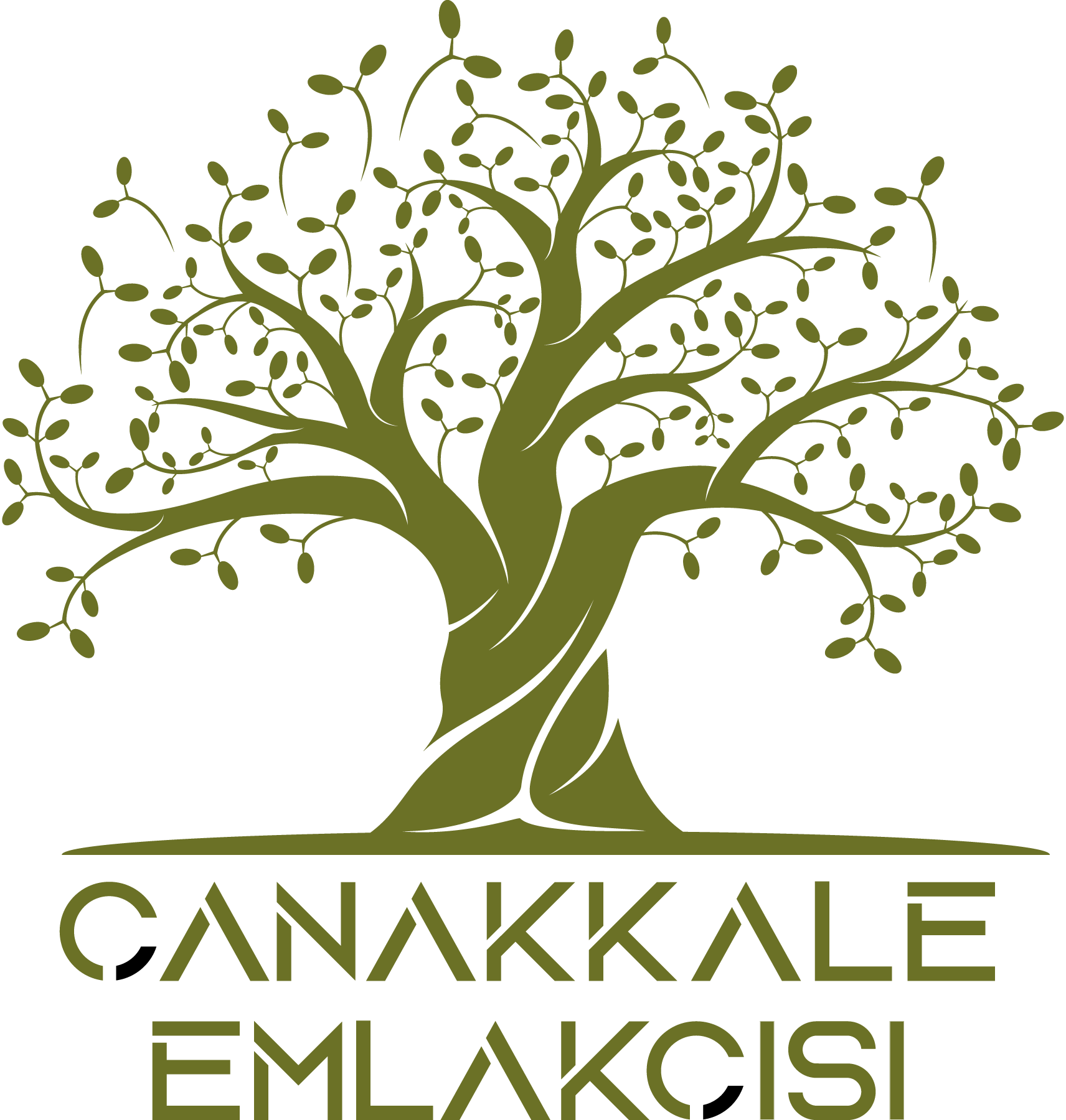 Çanakkale-Emlakçısı-Logo-Vector