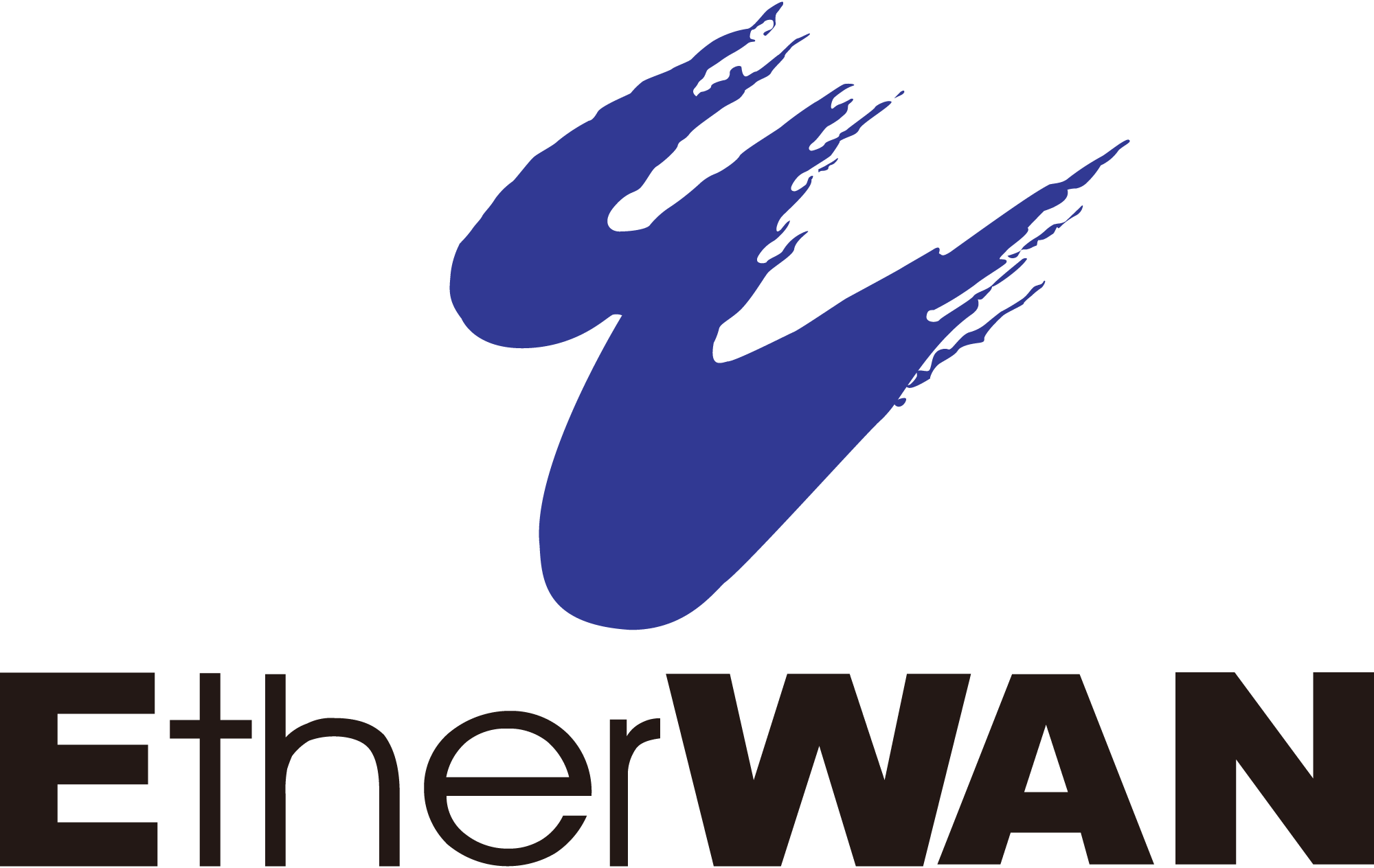 Etherwan-Logo-Vector