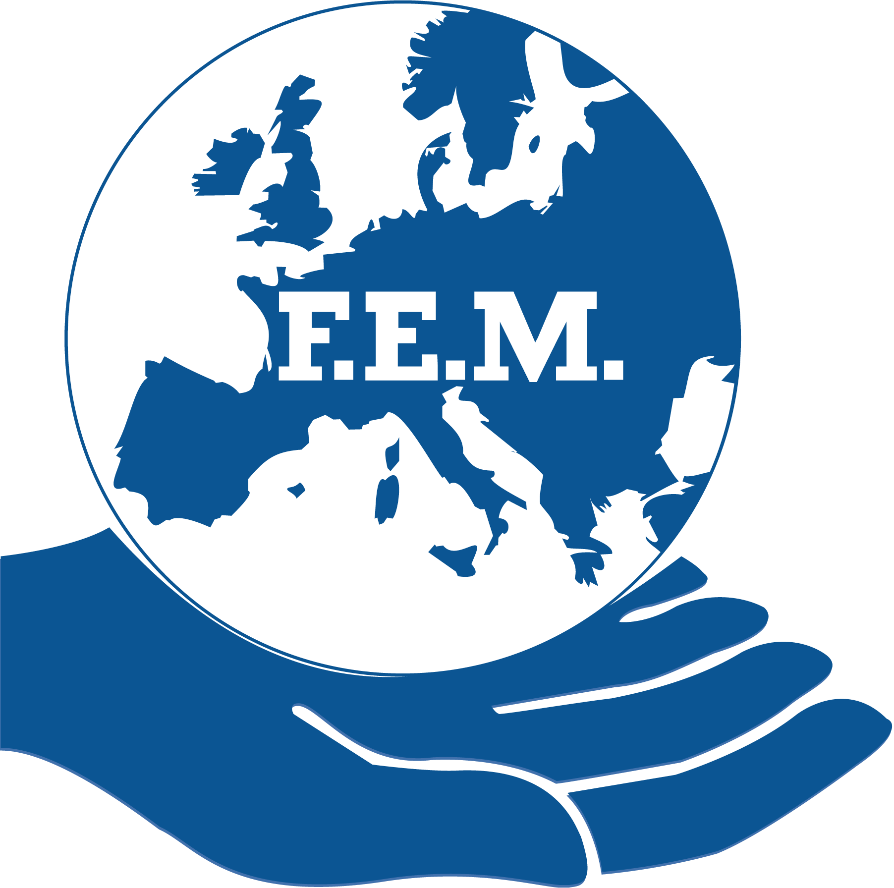 F.E.M