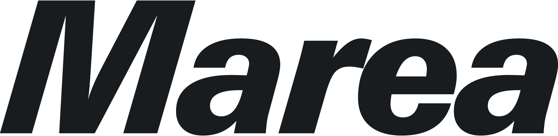 Fiat-Marea-Logo-Vector