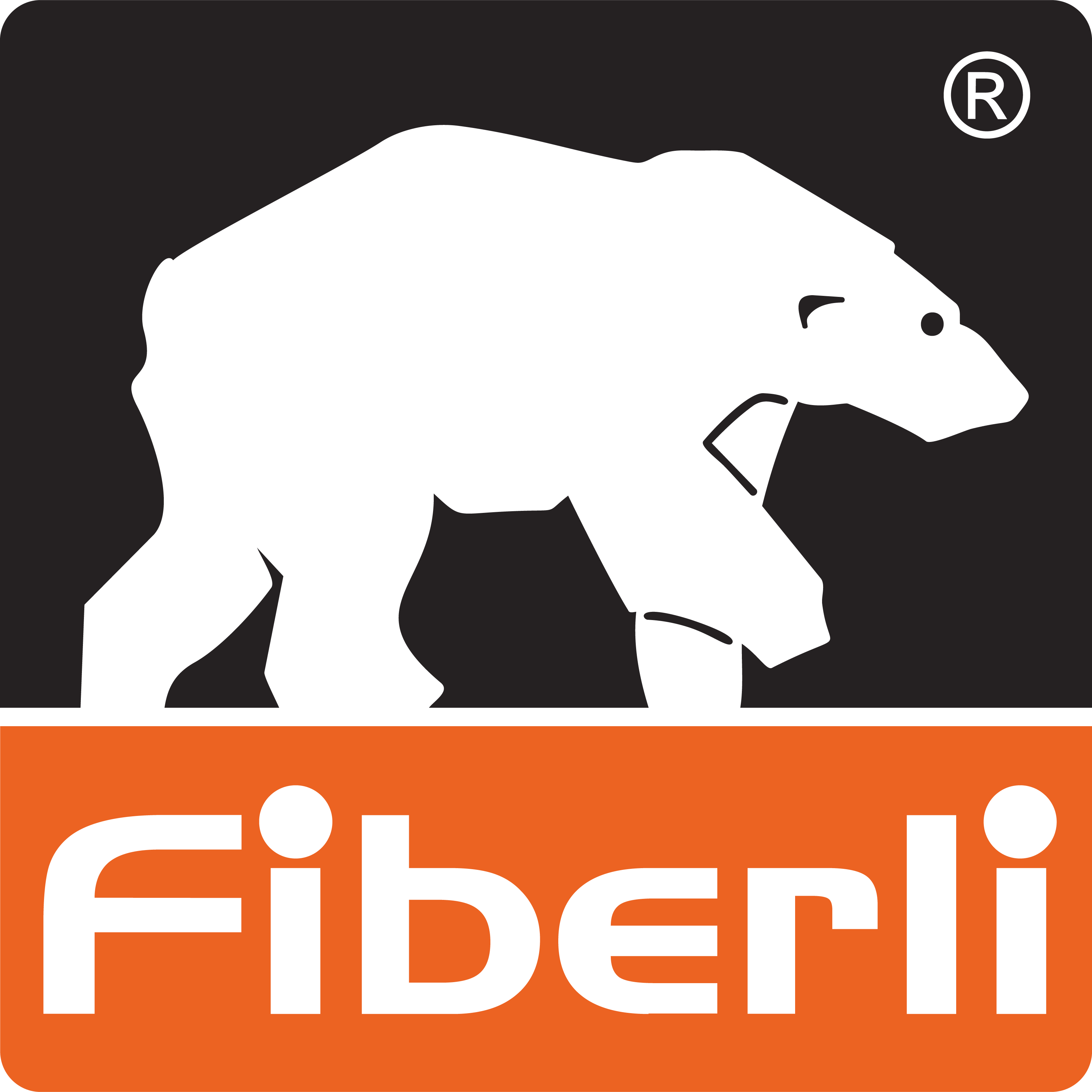 Fiberli-Logo-Vector