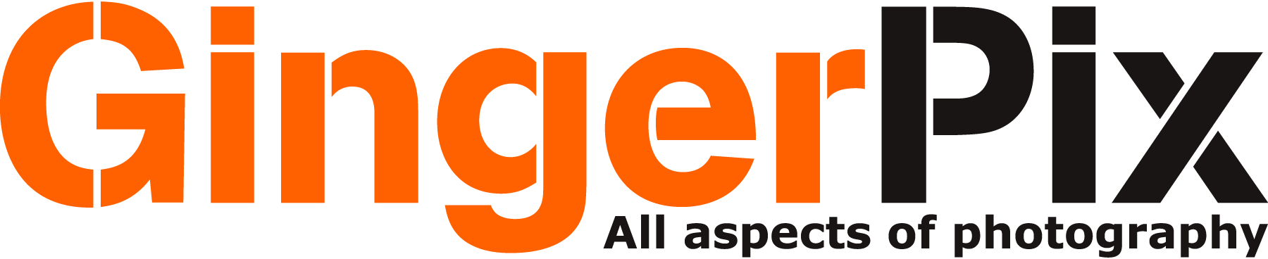 GingerPix-Photography---Rich-Page-Logo-Vector