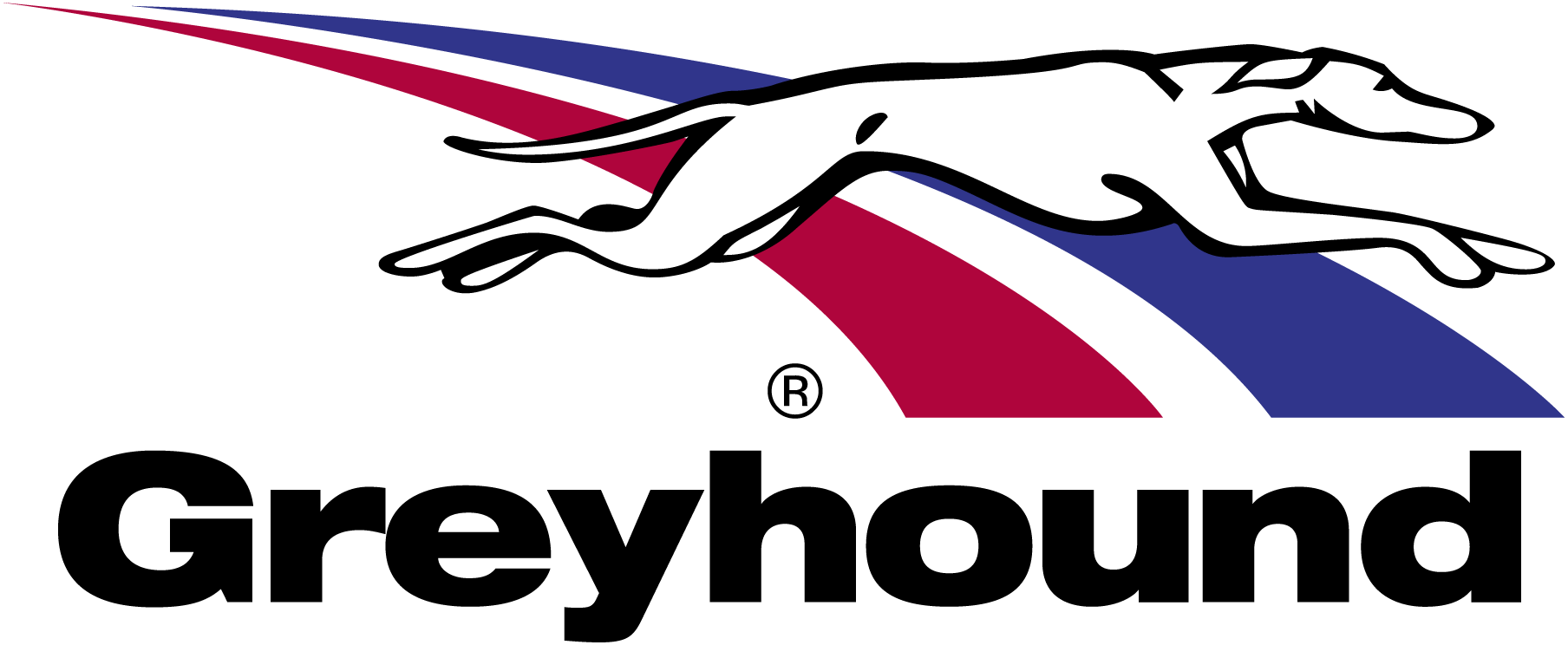 Greyhound-Logo-Vector
