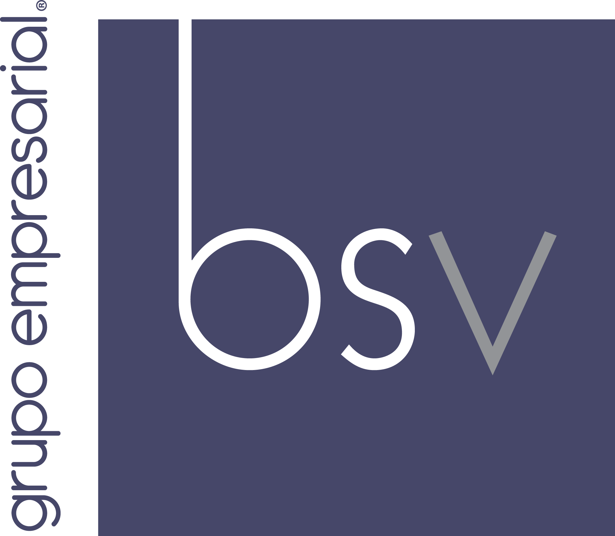 Grupo-BSV-Logo-Vector
