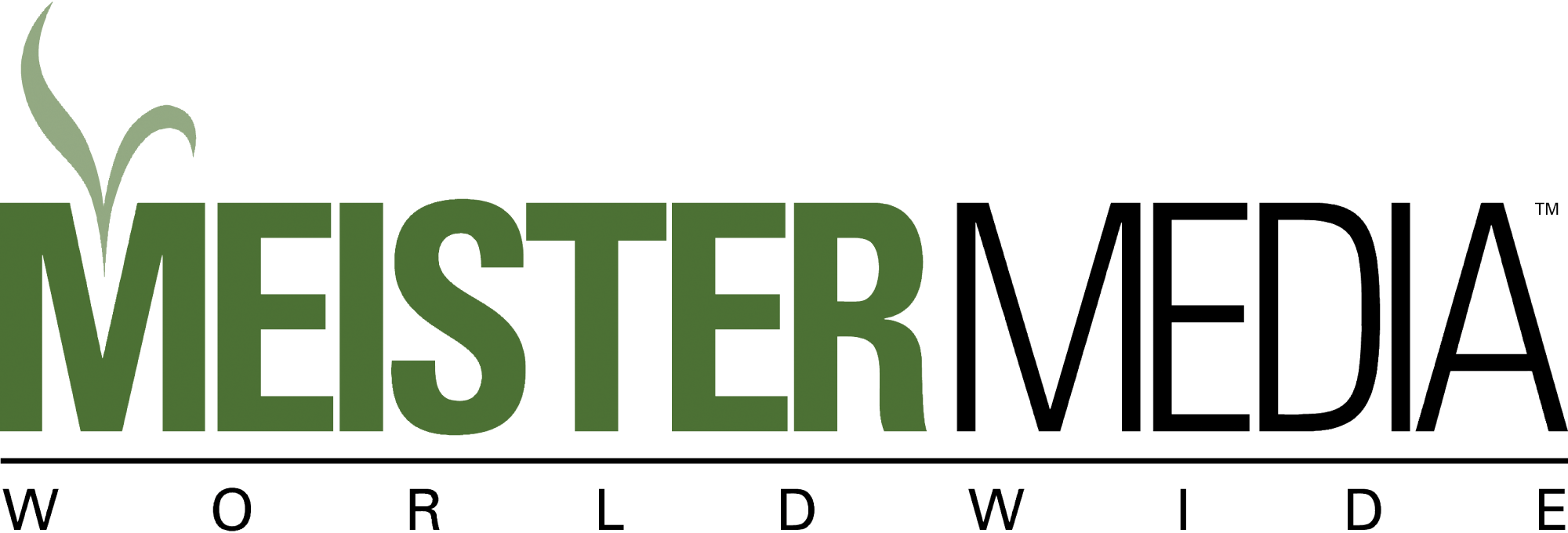 Meister-Media-Worldwide-Logo-Vector