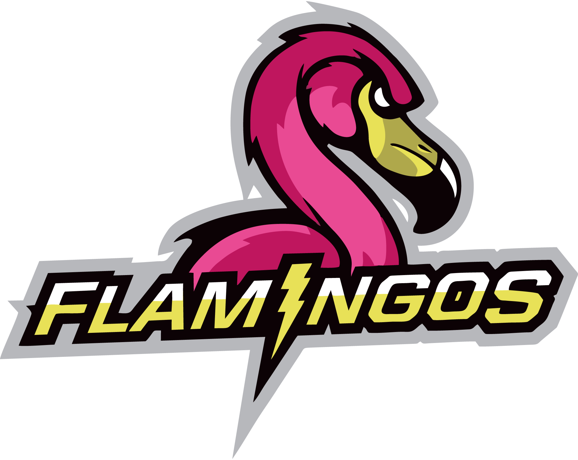 Miami-Flamingos-Logo-Vector