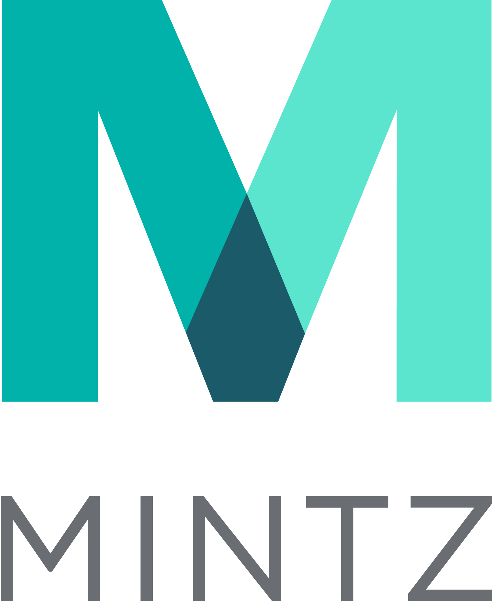 Mintz-Logo-Vector