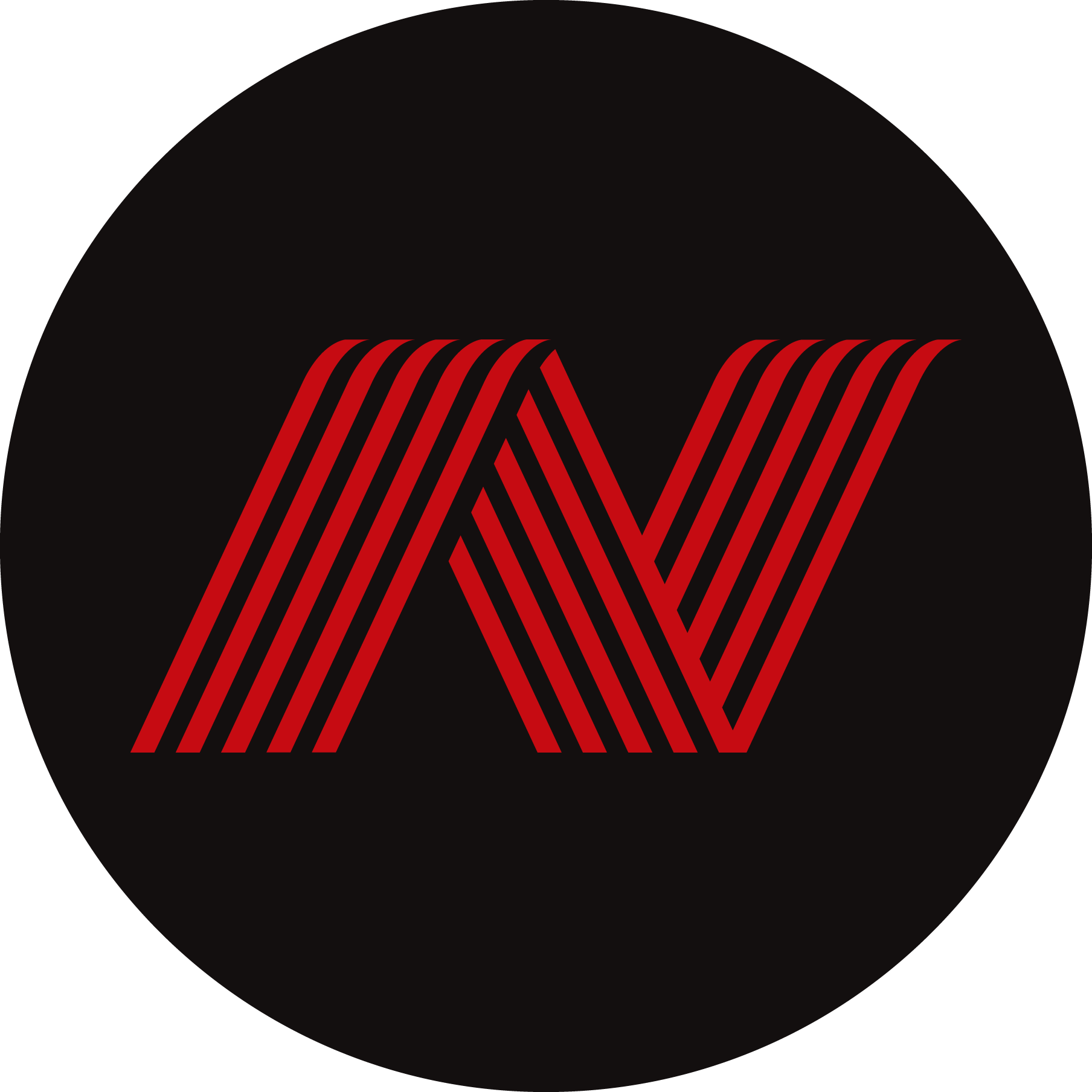 Nankang-Icon-Logo-Vector