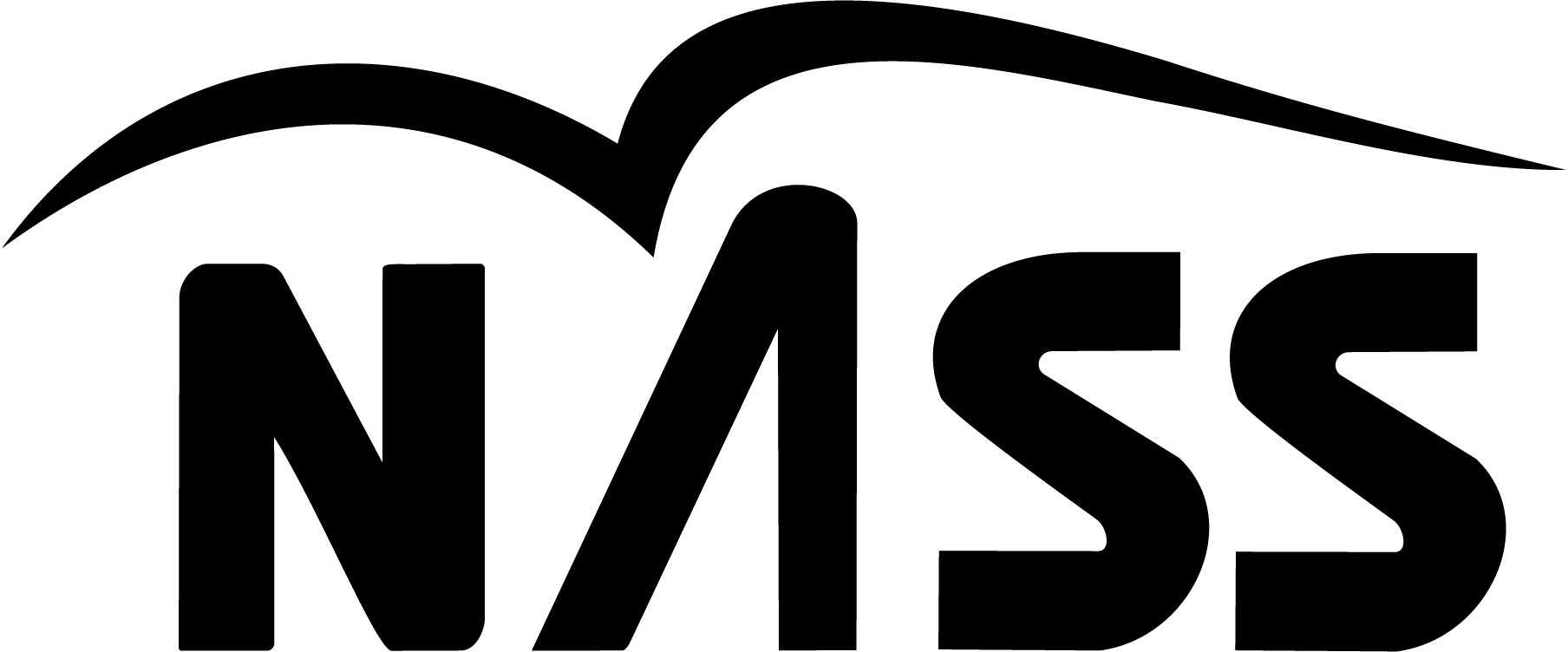 Nass-Logo-Vector