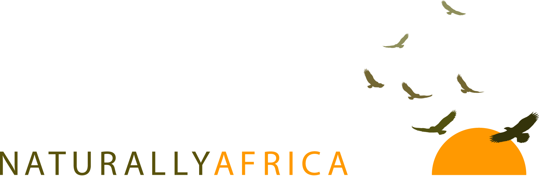 Naturally-Africa-Logo-Vector