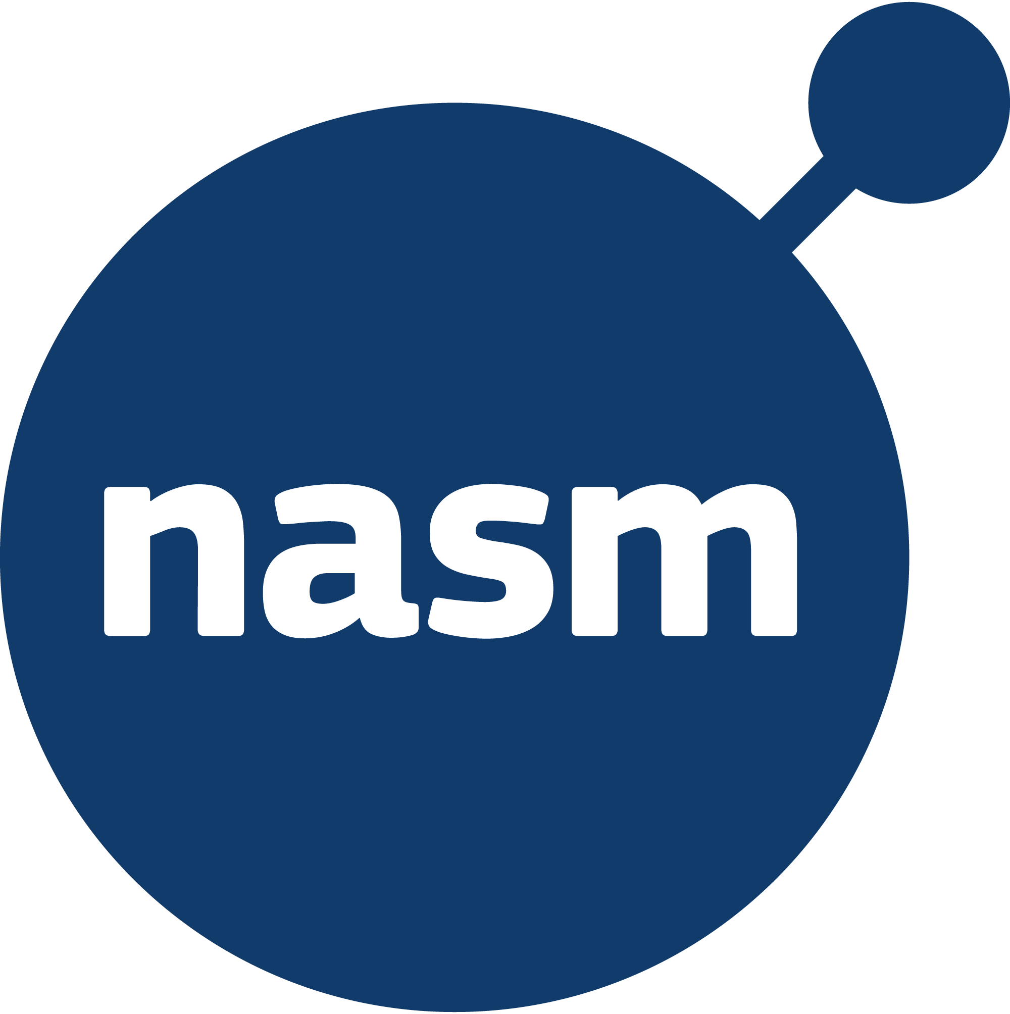 Netwide-Assembler-NASM-Logo-Vector